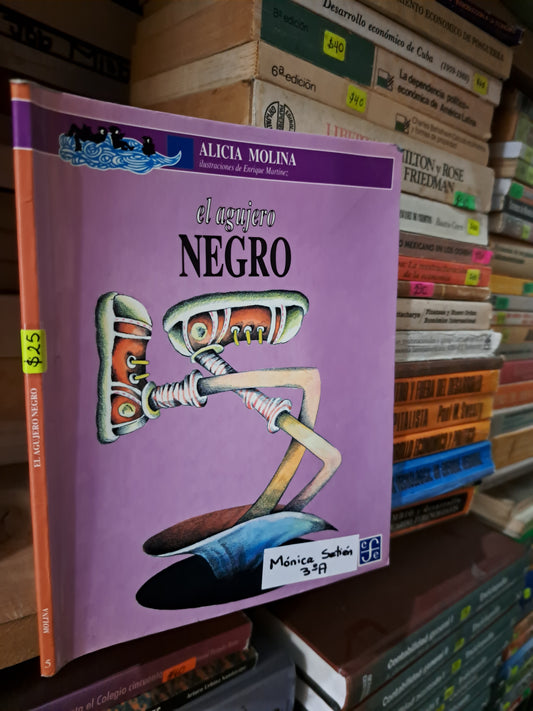 EL AGUJERO NEGRO ALICIA MOLINA USADO INFANTIL LITERARIO 207