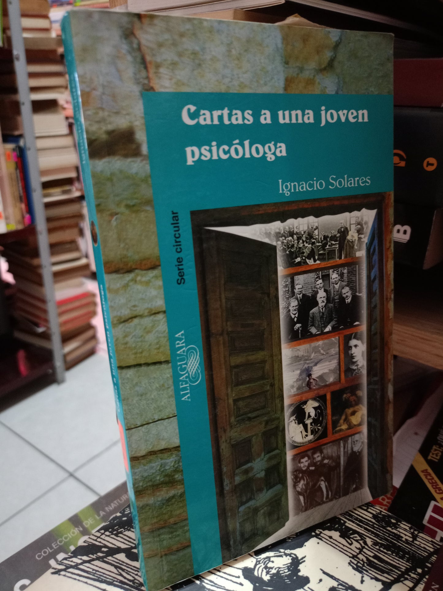 CARTAS A UNA JOVEN PSICÓLOGA IGNACIO SOLARES USADO NOVELA LITERARIO 305