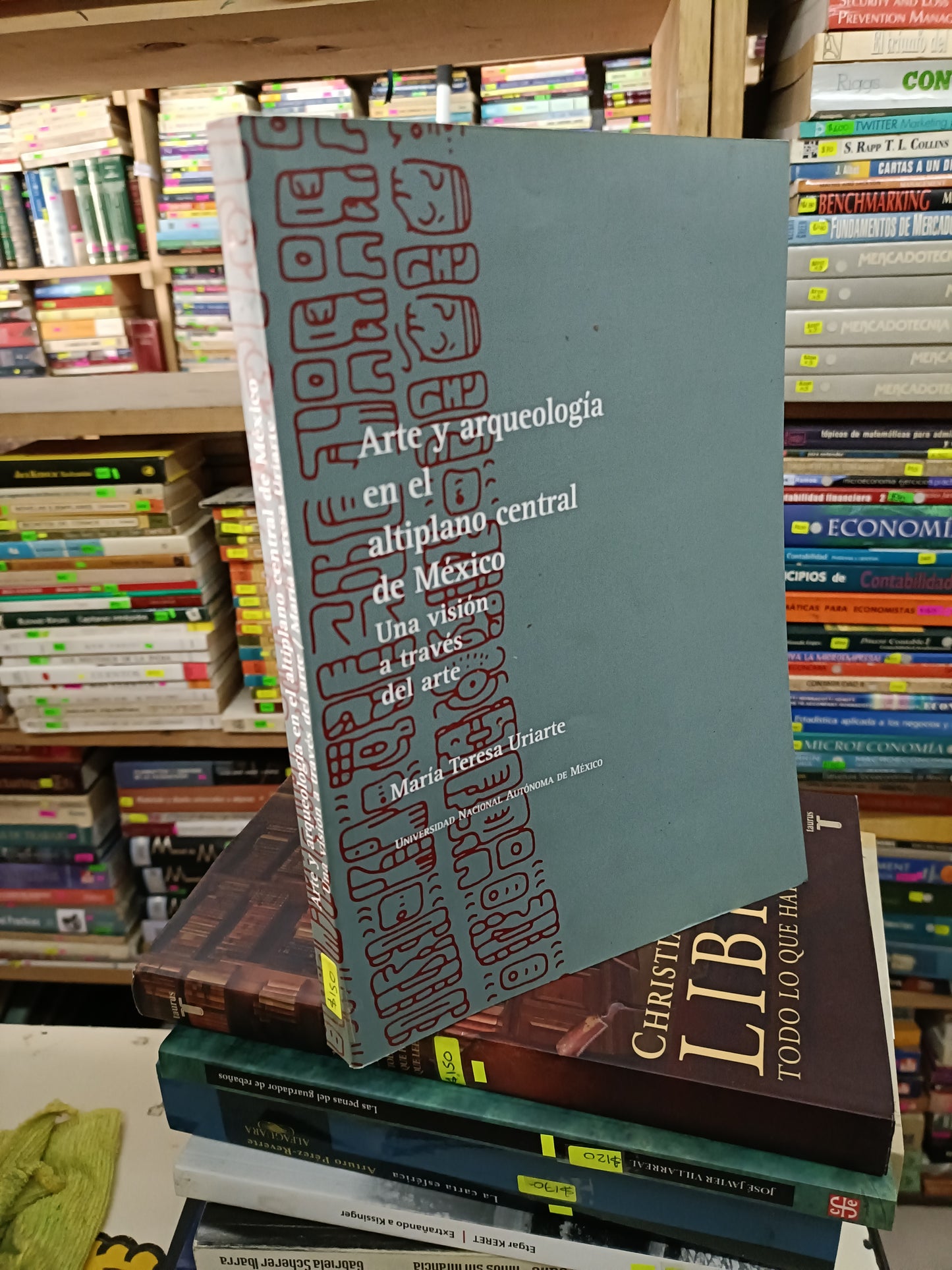 ARTE Y ARQUEOLOGÍA EN EL ALTIPLANO CENTRAL DE MÉXICO UNA VISIÓN A TRAVÉS DEL ARTE POR MARIA TERESA URIARTE USADO ARTE LITERARIO 207