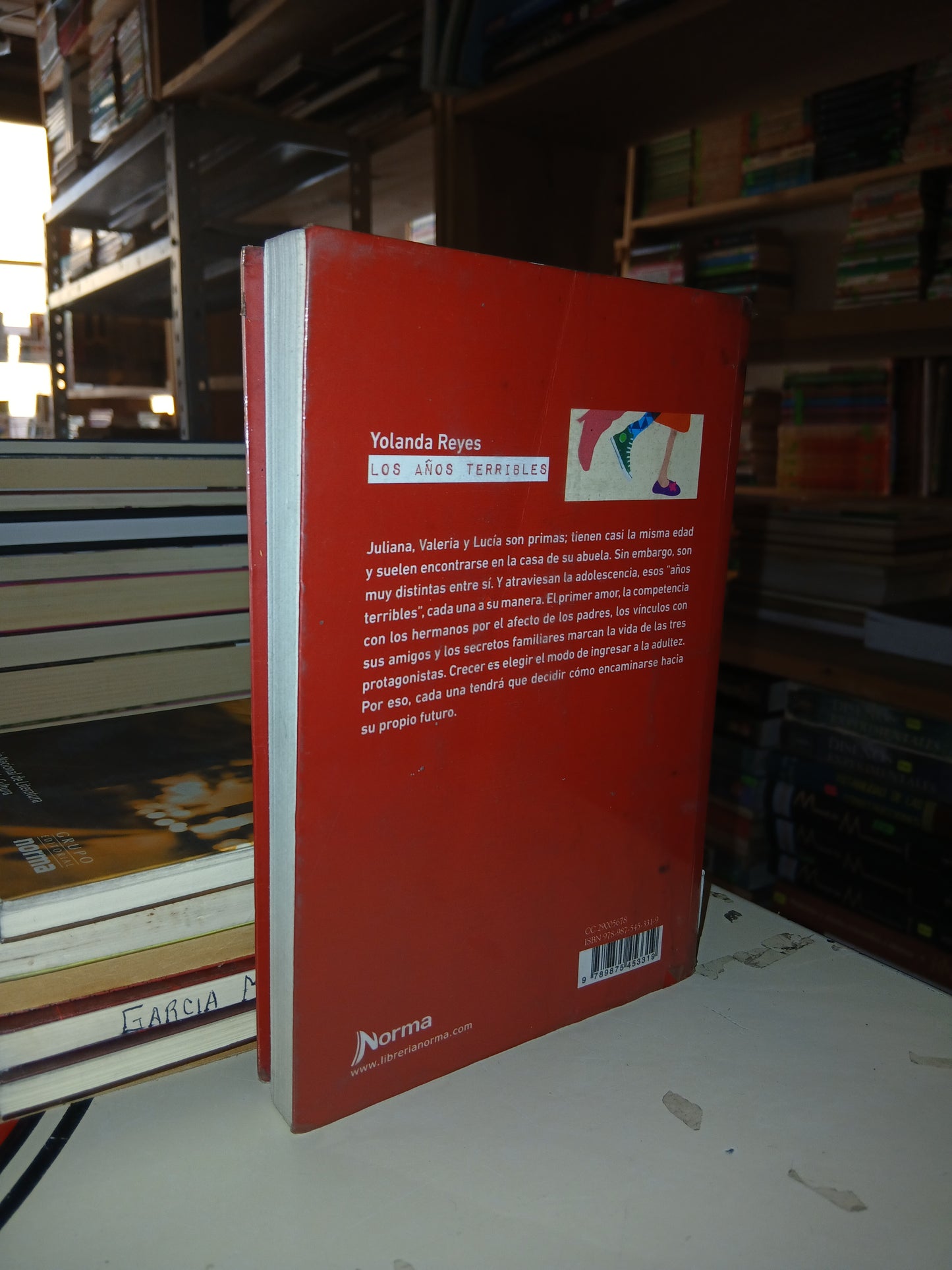 LOS AÑOS TERRIBLES POR  YOLANDA REYES USADO NOVELA LITERARIO 207