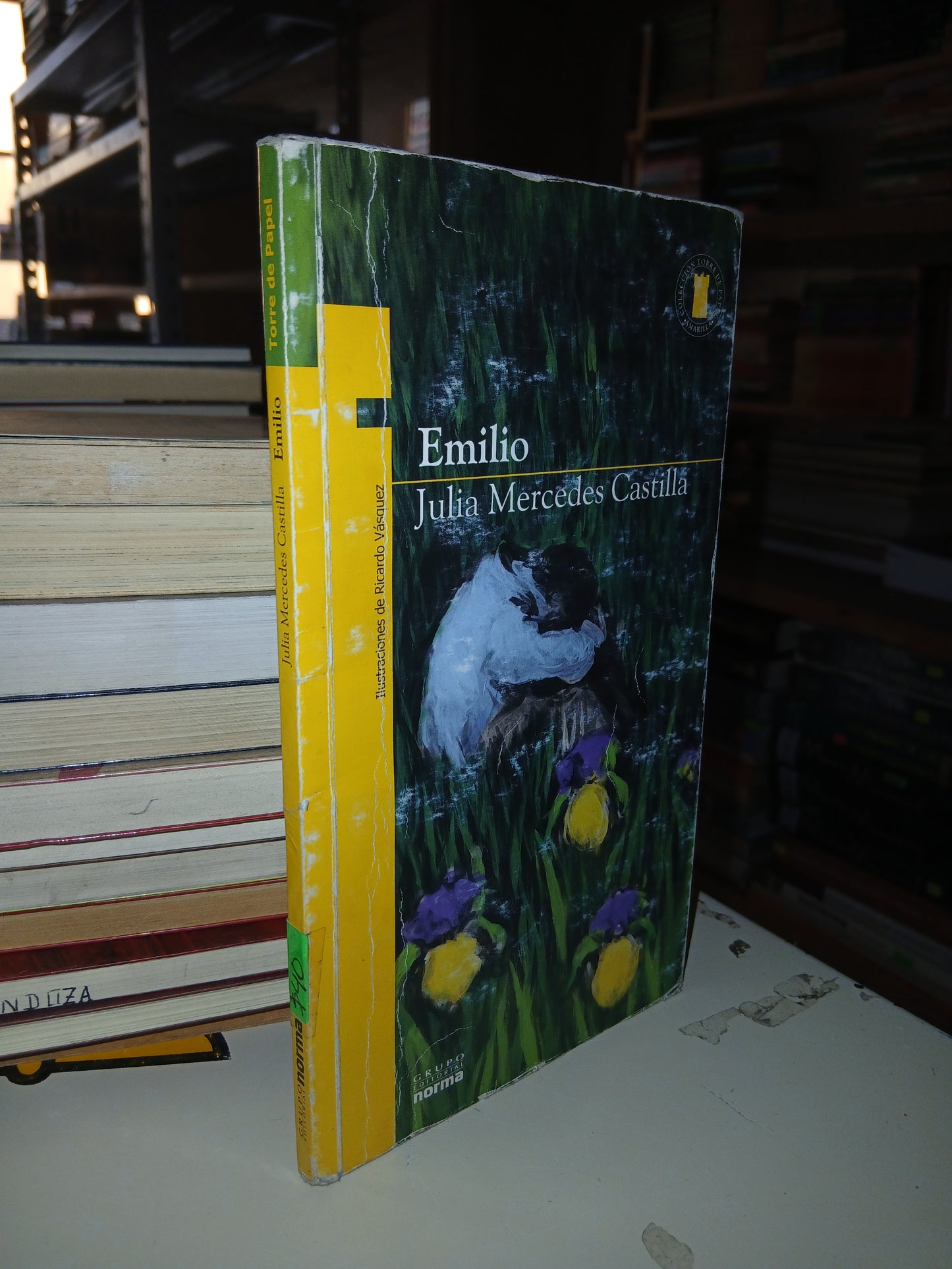 EMILIO POR JULIA MERCEDES CASTILLA USADO NOVELA LITERARIO 207