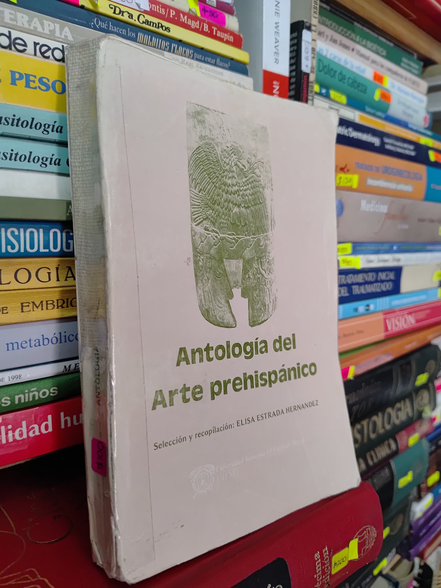 ANTOLOGIA DEL ARTE PREHISPANICO POR ELISA ESTRADA HERNANDEZ USADO HISTORIA LITERARIO 305
