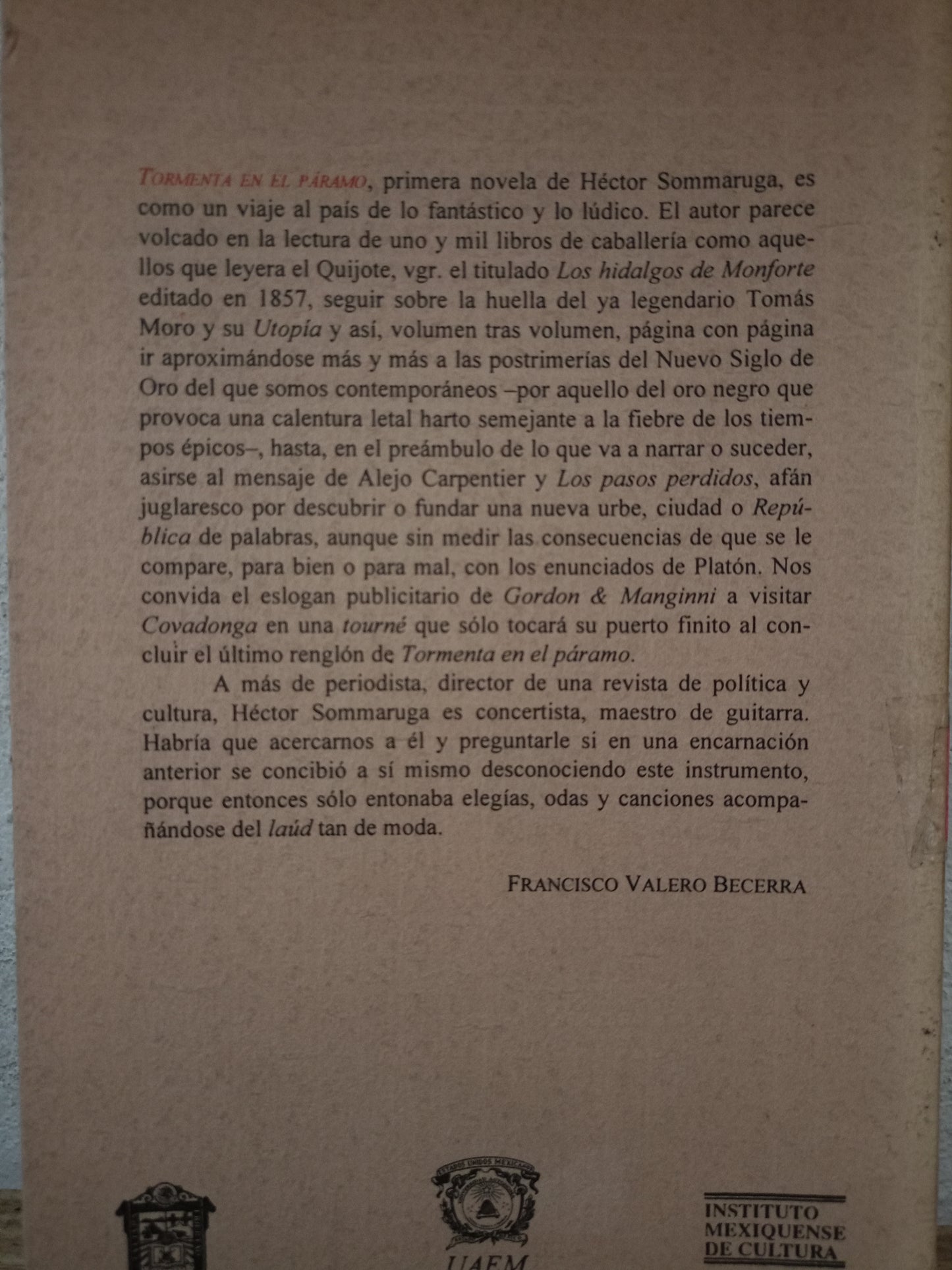 TORMENTA EN EL PARAMO HECTOR SOMMARUGA USADO NOVELA LITERARIO 305