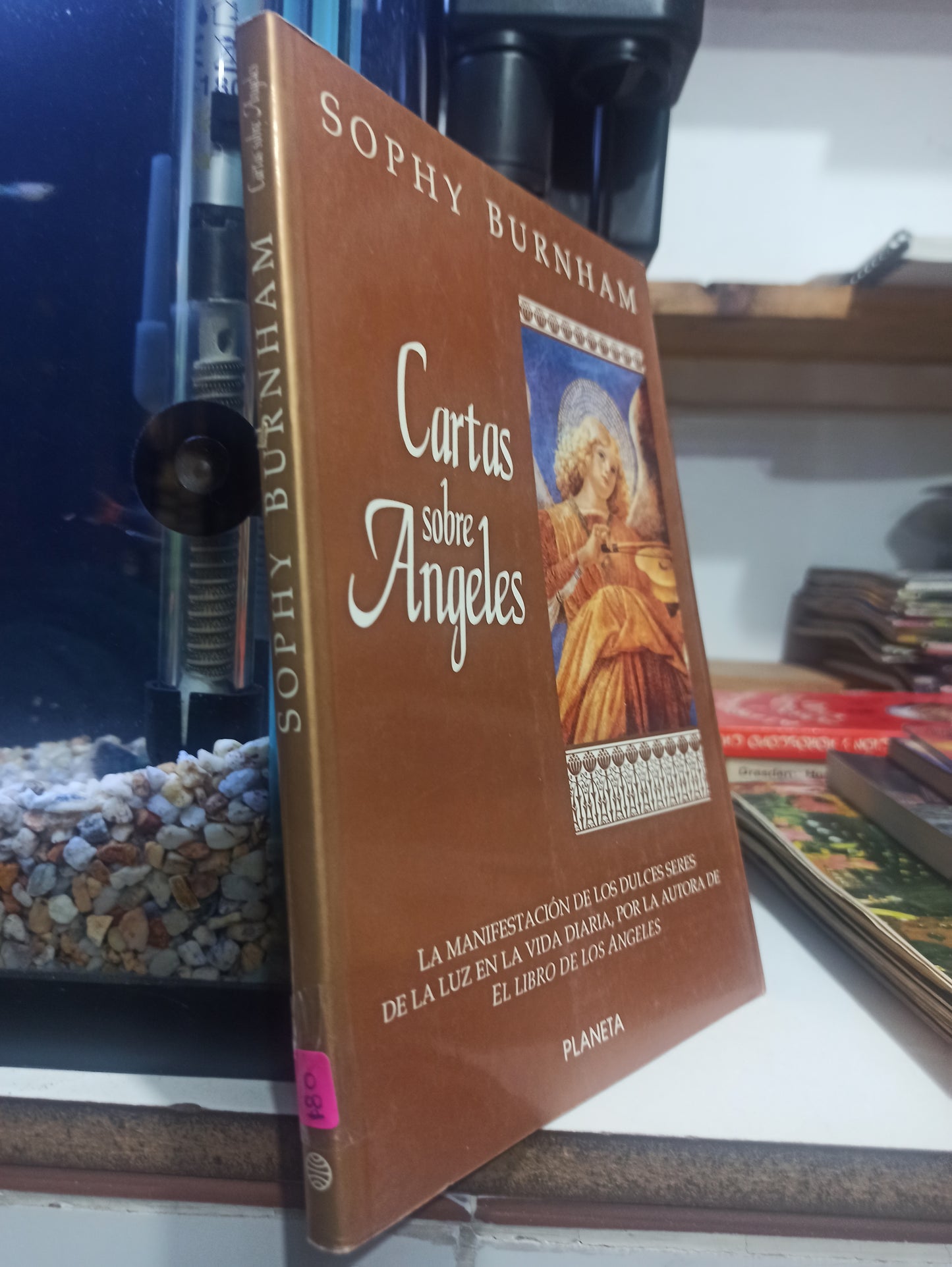 CARTAS SOBRE ANGELES POR SOPHY BURNHAM USADO ESOTERISMO JUÁREZ