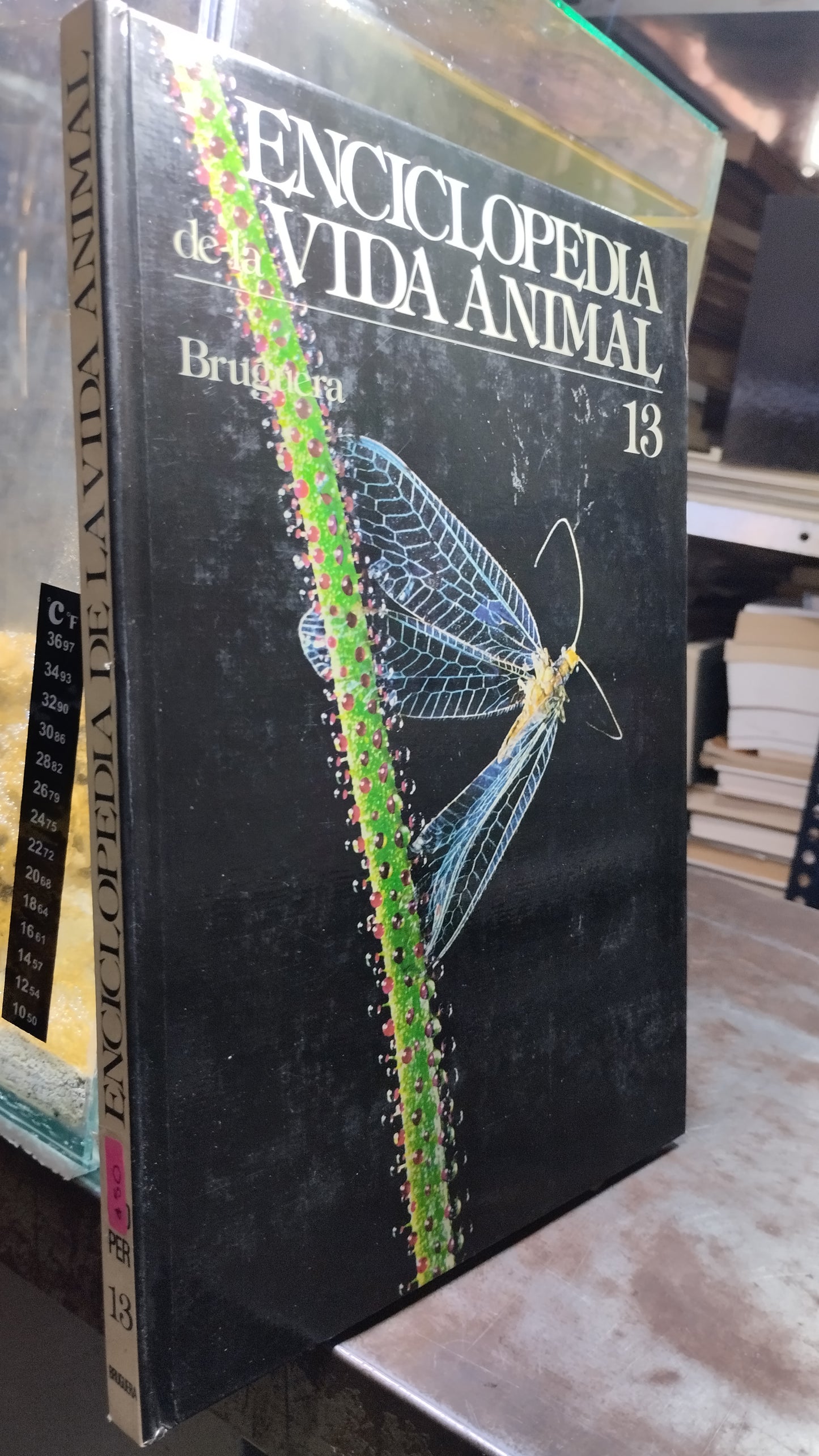 ENCICLOPEDIA DE LA VIDA ANIMAL 13 LIBRO USADO BIOLOGIA ALDAMA