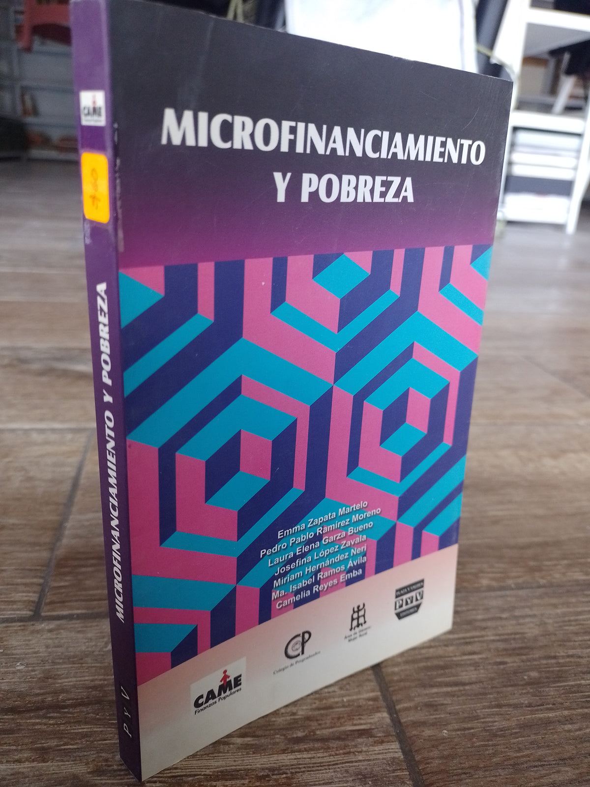 MICROFINANCIAMIENTO Y POBREZA POR VARIOS AUTORES USADO SOCIOLOGIA JUAREZ 515