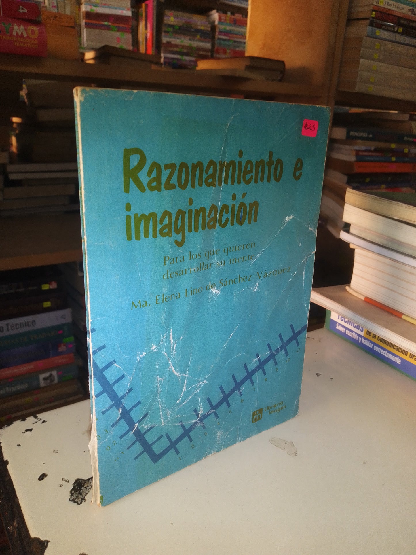 RAZONAMIENTO E IMAGINACIÓN POR MA. ELENA LINO DE SÁNCHEZ VÁZQUEZ USADO EDUCACIÓN LITERARIO 207