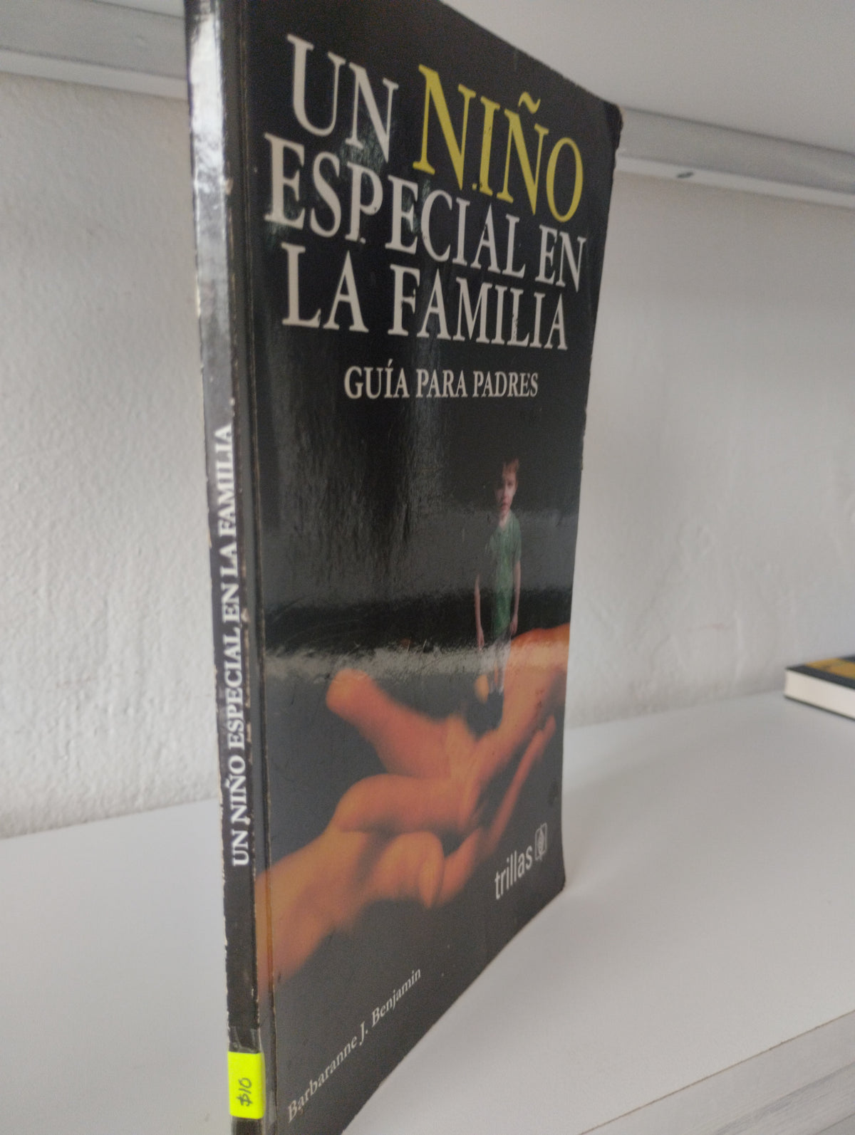UN NIÑO ESPECIAL EN LA FAMILIA GUIA PARA PADRES BARBARANNE J BENJAMIN USADO PSICOLOGÍA JUAREZ 515