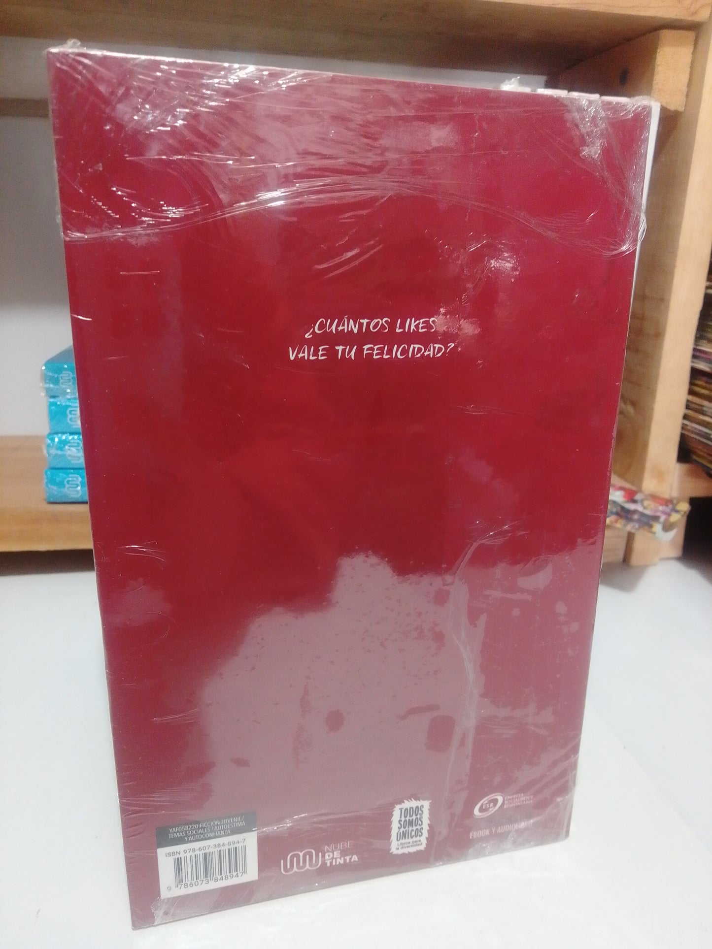 REDES POR ELOY MORENO NUEVO JUAREZ