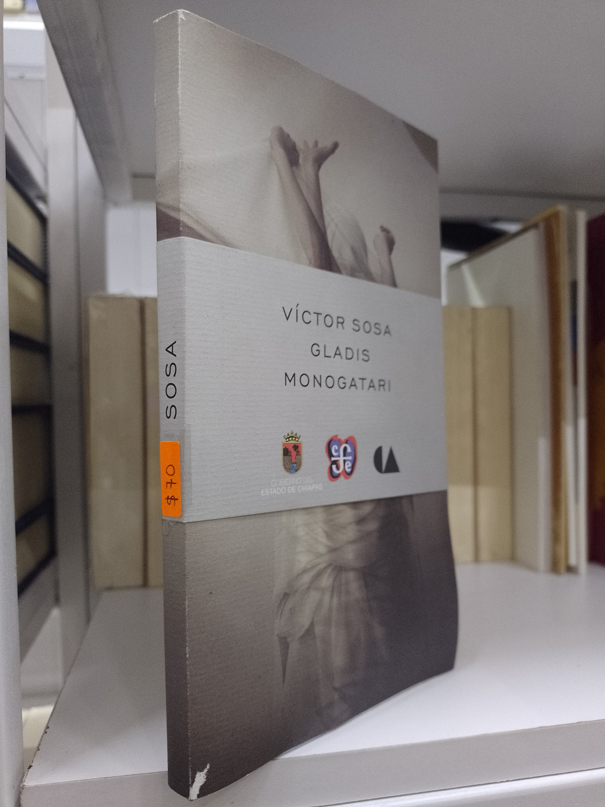 GLADIS MONOGARATI POR VICTOR SOSA USADO NOVELA JUAREZ 515