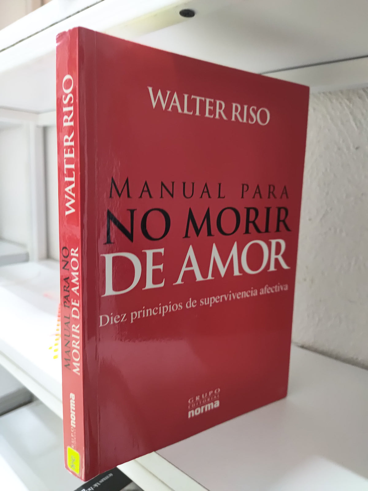 MANUAL PARA NO MORIR DE AMOR POR WALTER RISO USADO SUP PERSONAL JUAREZ 515