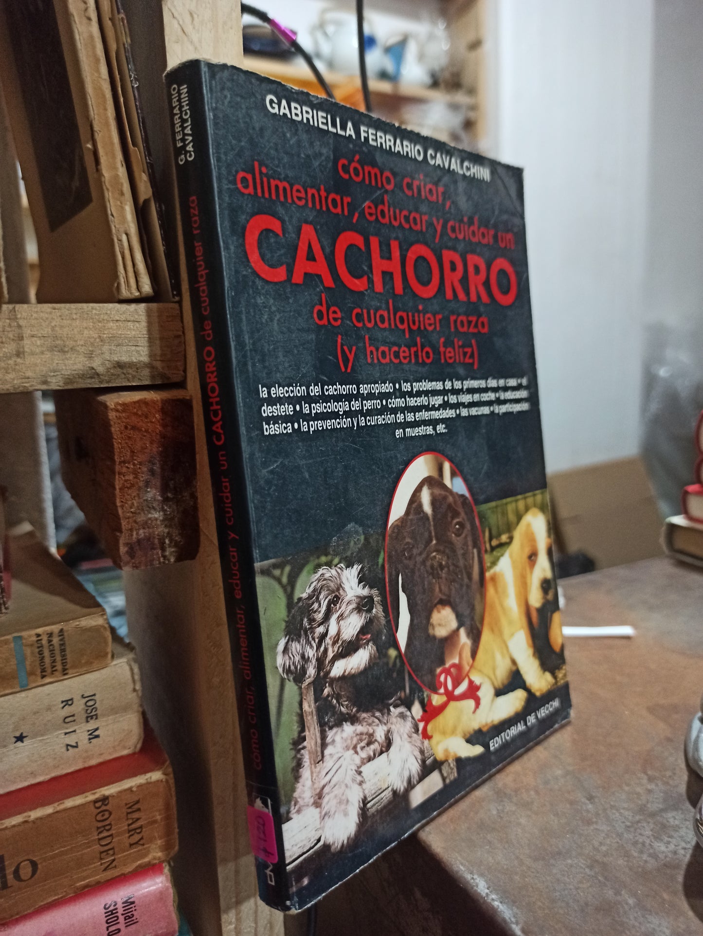 COMO CRIAR ALIMENTAR EDUCAR Y CUIDAR UN CACHORRO DE CUALQUIER RAZA POR GABRIELLA DE VECCHI USADO BIOLOGIA ALDAMA