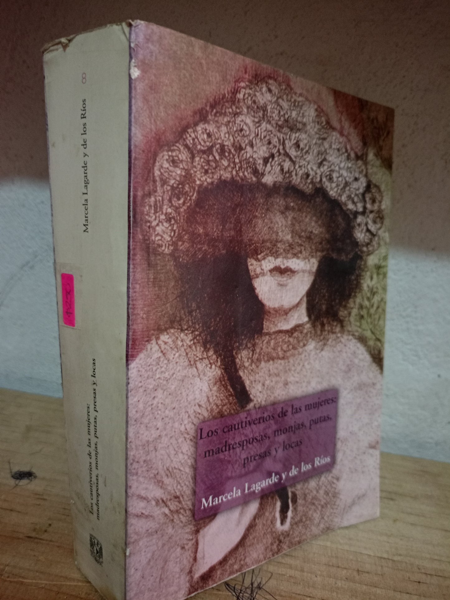 LOS CAUTIVERIOS DR LAS MUJERES MADRESPOSAS MONJAS PUTAS PRESAS Y LOCAS POR MARCELA LAGARDE Y DE LOS RIOS USADO HISTORIA LITERARIO 305