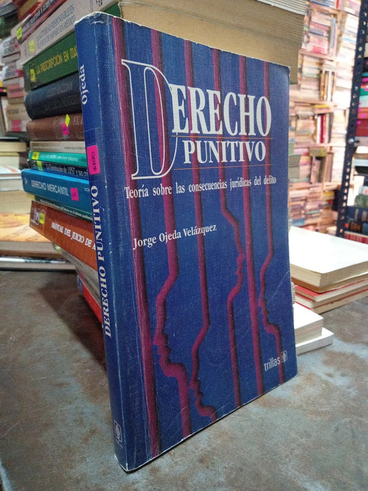 DERECHO PUNITIVO POR JORGE OJEDA VELAZQUEZ USADO DERECHO ALDAMA