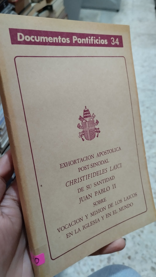 EXHORTACION APOSTOLICA 34 LIBRO USADO RELIGION ALDAMA