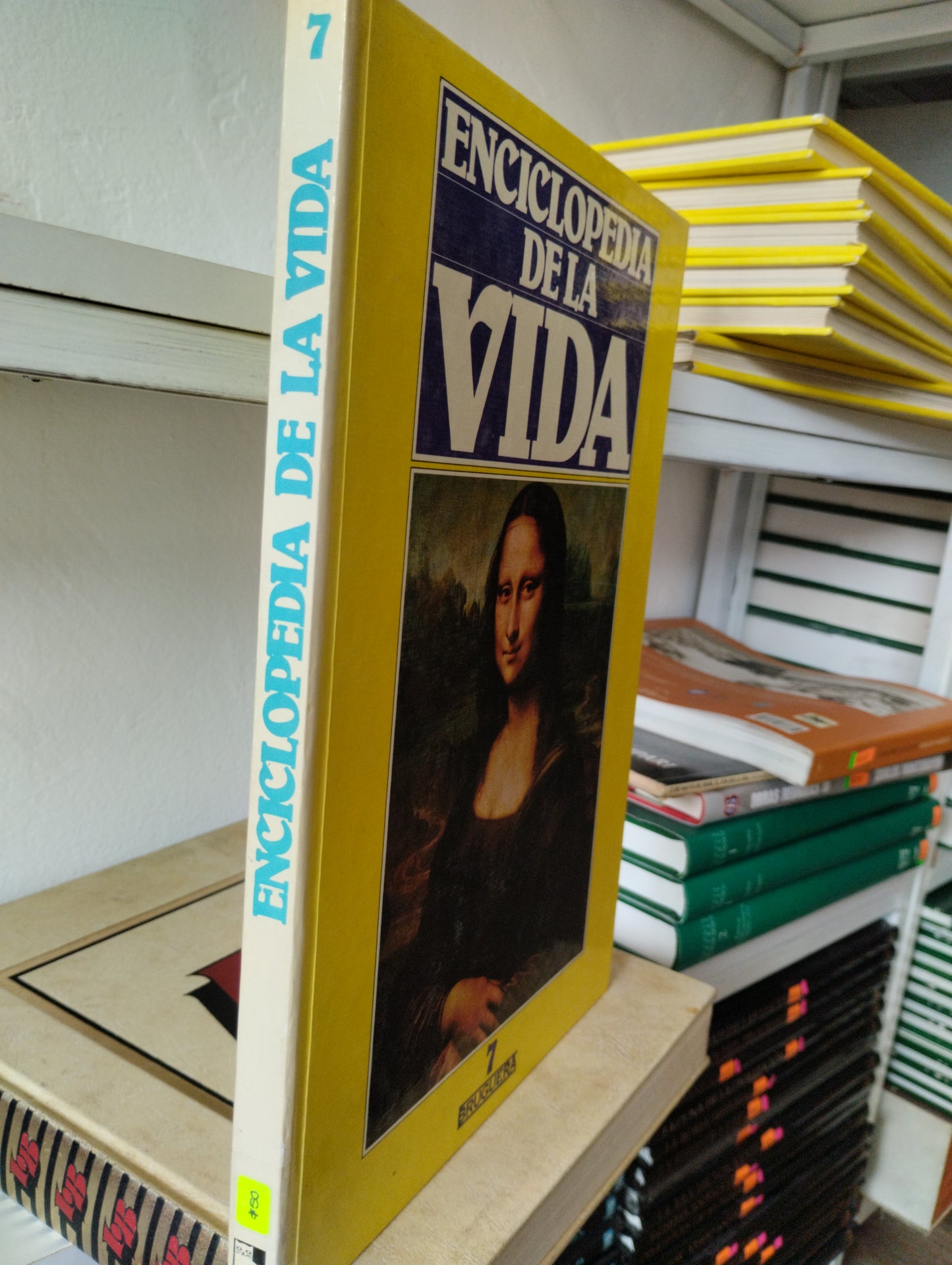 ENCICLOPEDIA DE LA VIDA 7 USADO PSICOLOGIA JUAREZ 515
