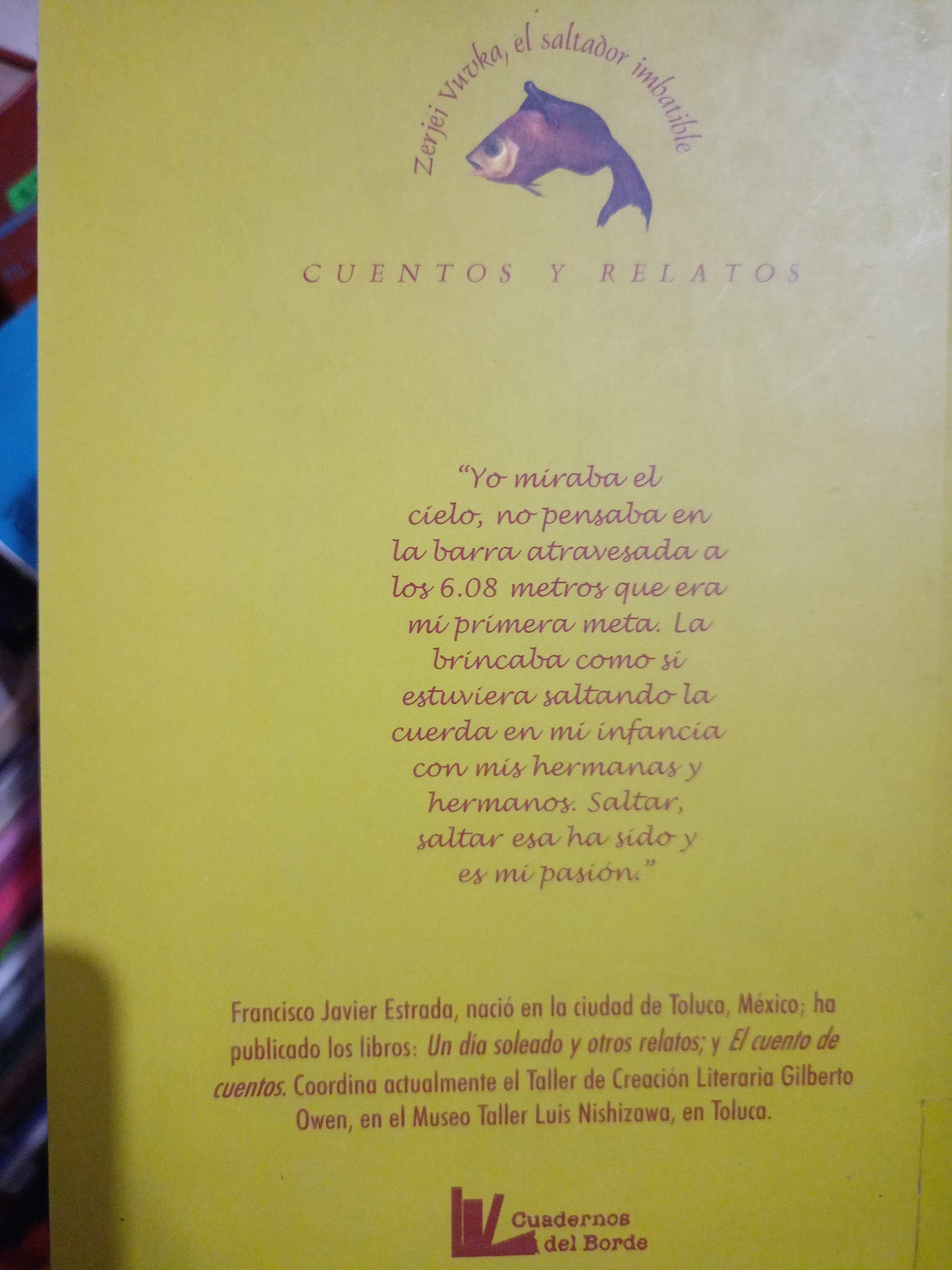ZERJEI VNUKA EL SALTADOR IMBATIBLE CUENTOS Y RELATOS USADO NOVELA LITERARIO 305