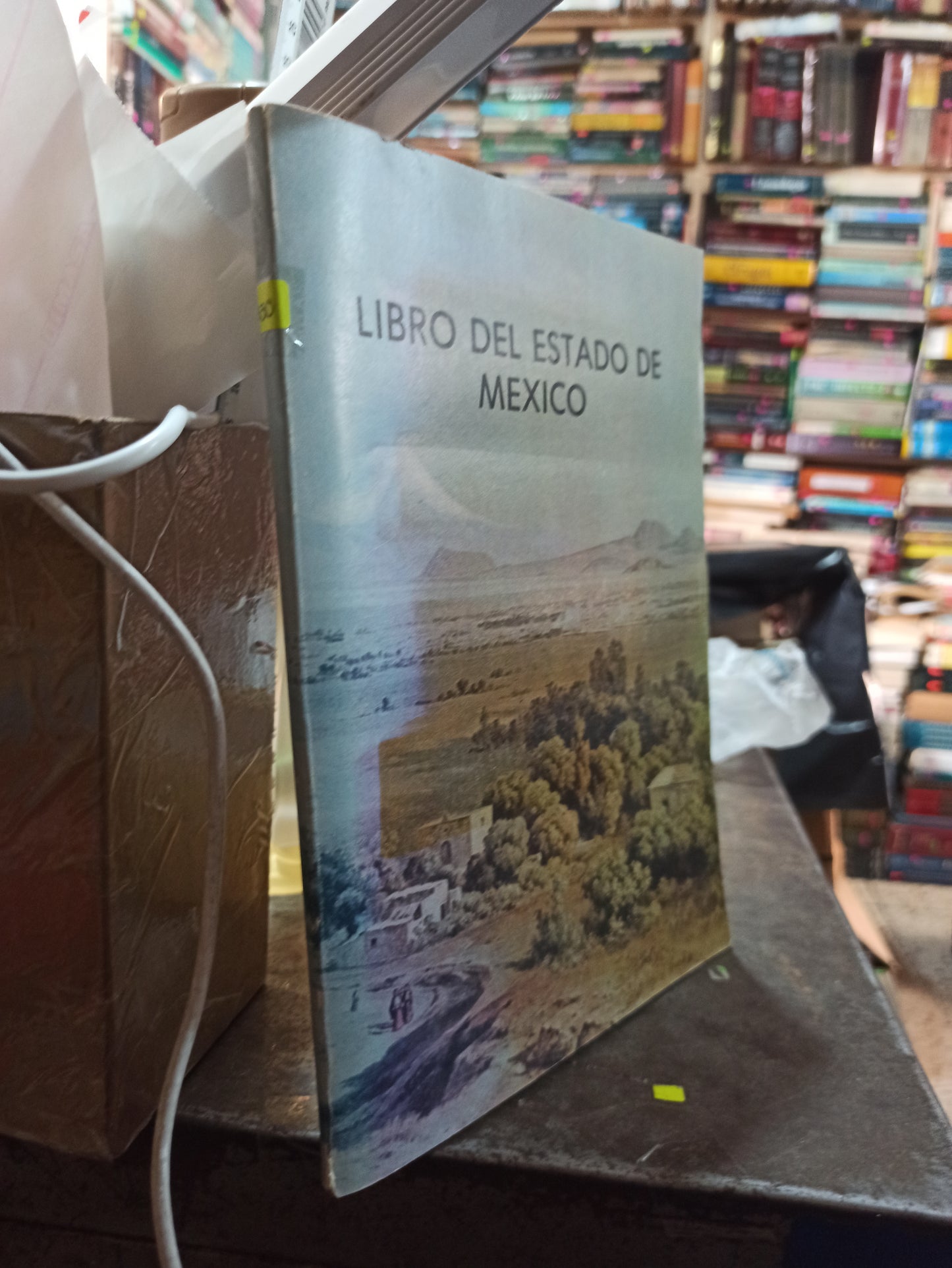 LIBRO DEL ESTADO DE MEXICO POR GOBIERNO DEL EDOMEX USADO HISTORIA ALDAMA