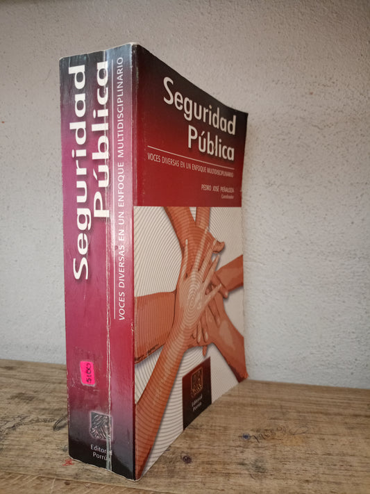 SEGURIDAD PÚBLICA VOCES DIVERSAS EN UN ENFOQUE MULTIDISCIPLINARIO POR PEDRO JOSÉ PEÑALOZA USADO DERECHO LITERARIO 305