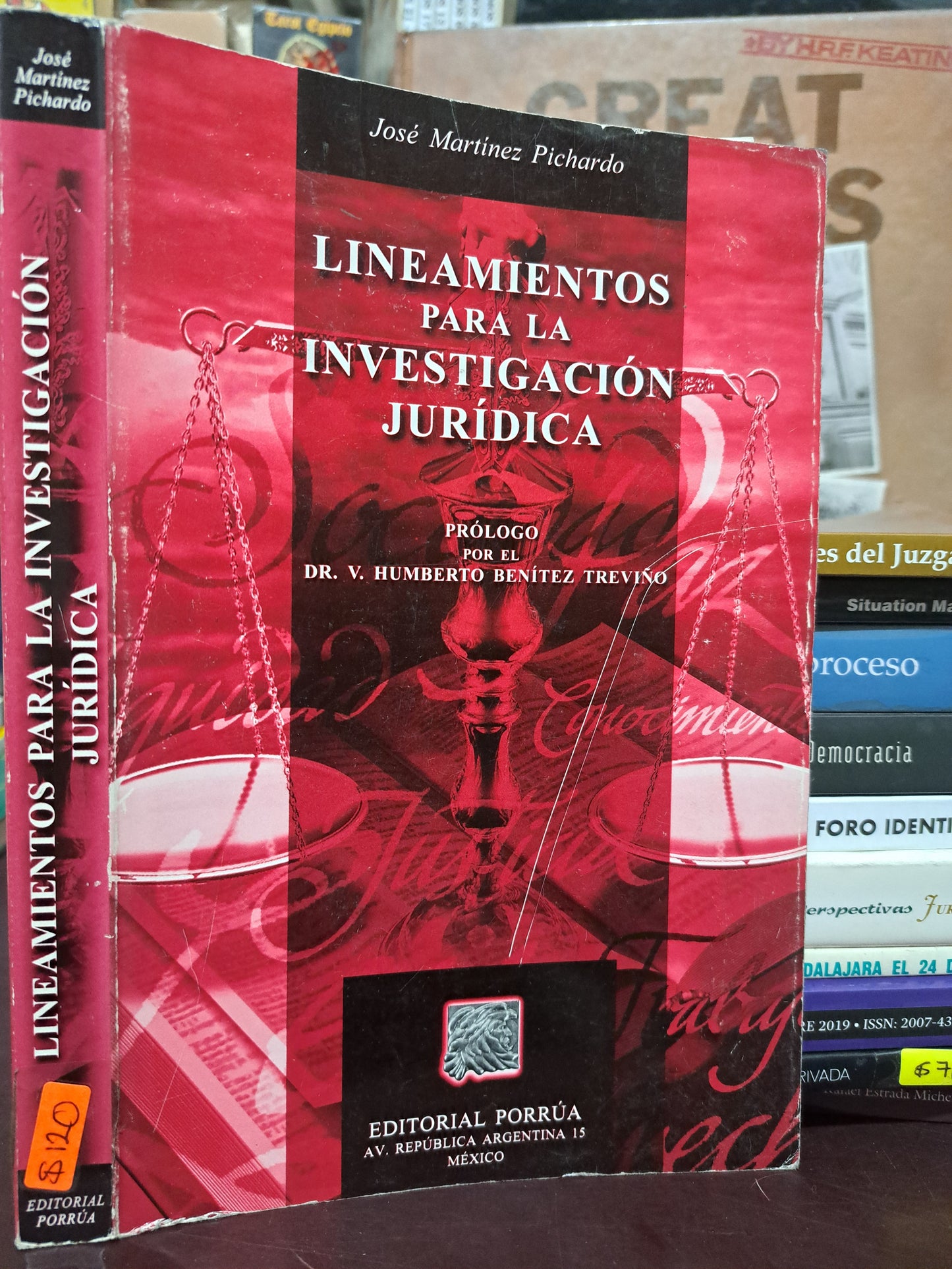 LINEAMIENTOS PARA LA INVESTIGACIÓN JURÍDICA JOSÉ MARTÍNEZ PICHARDO USADO DERECHO LITERARIO 305