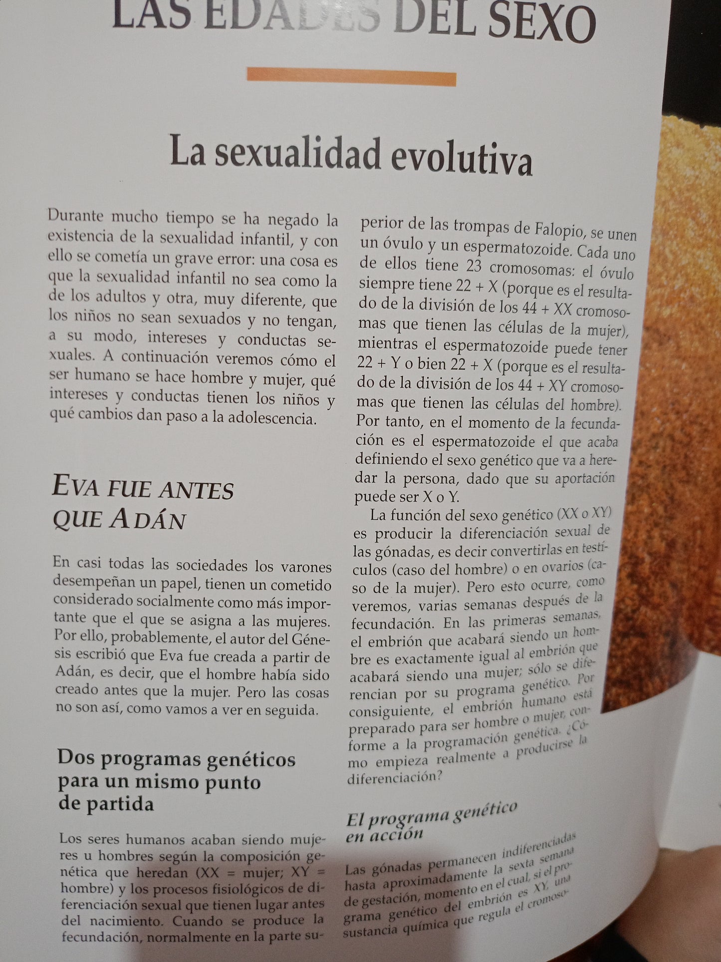 ENCICLOPEDIA DE LA SEXUALIDAD DOS TOMOS USADO PSICOLOGÍA LITERARIO 305