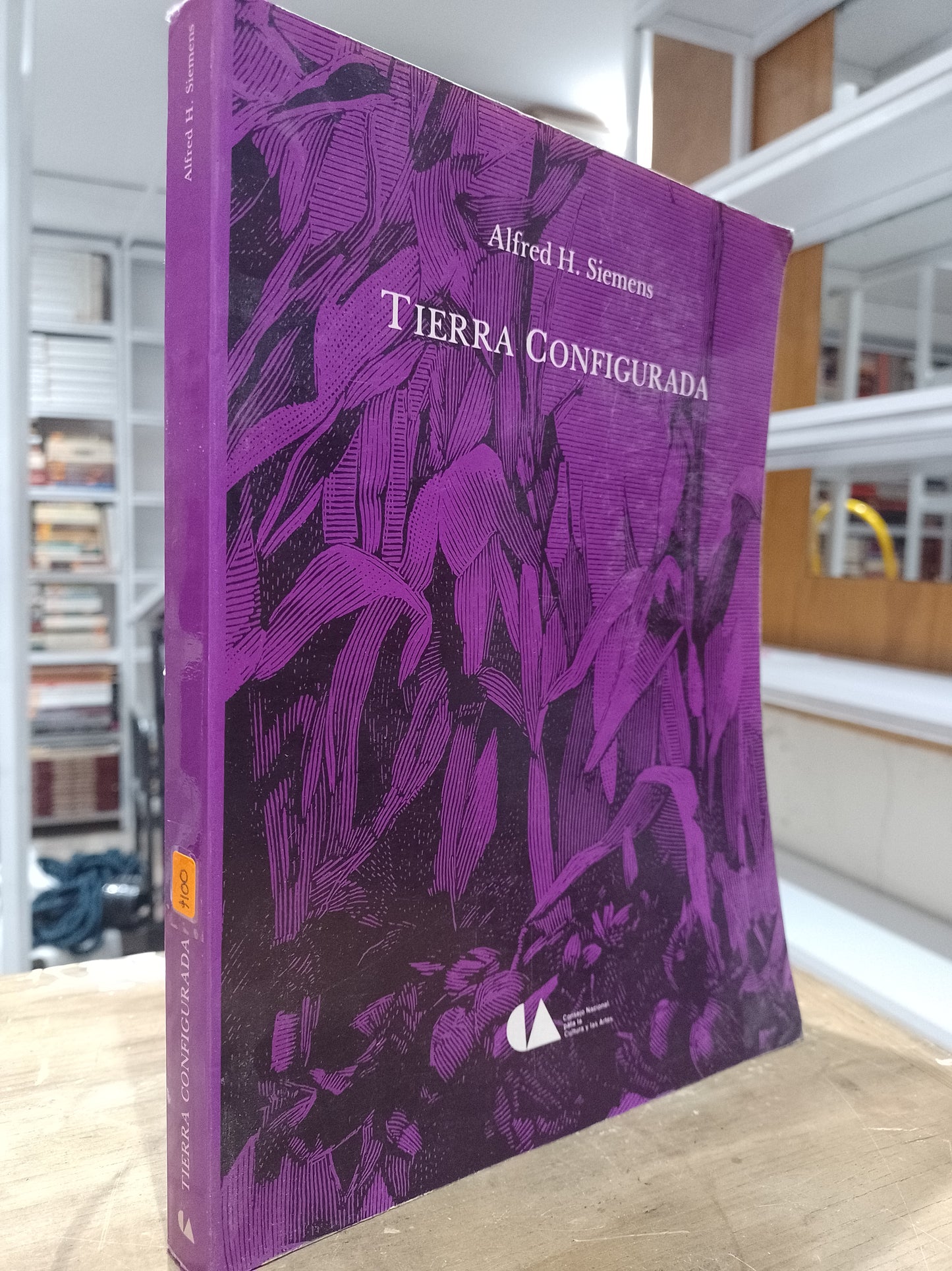 TIERRA CONFIGURADA POR ALFRED H SIEMENS USADO SOCIOLOGIA JUAREZ 515