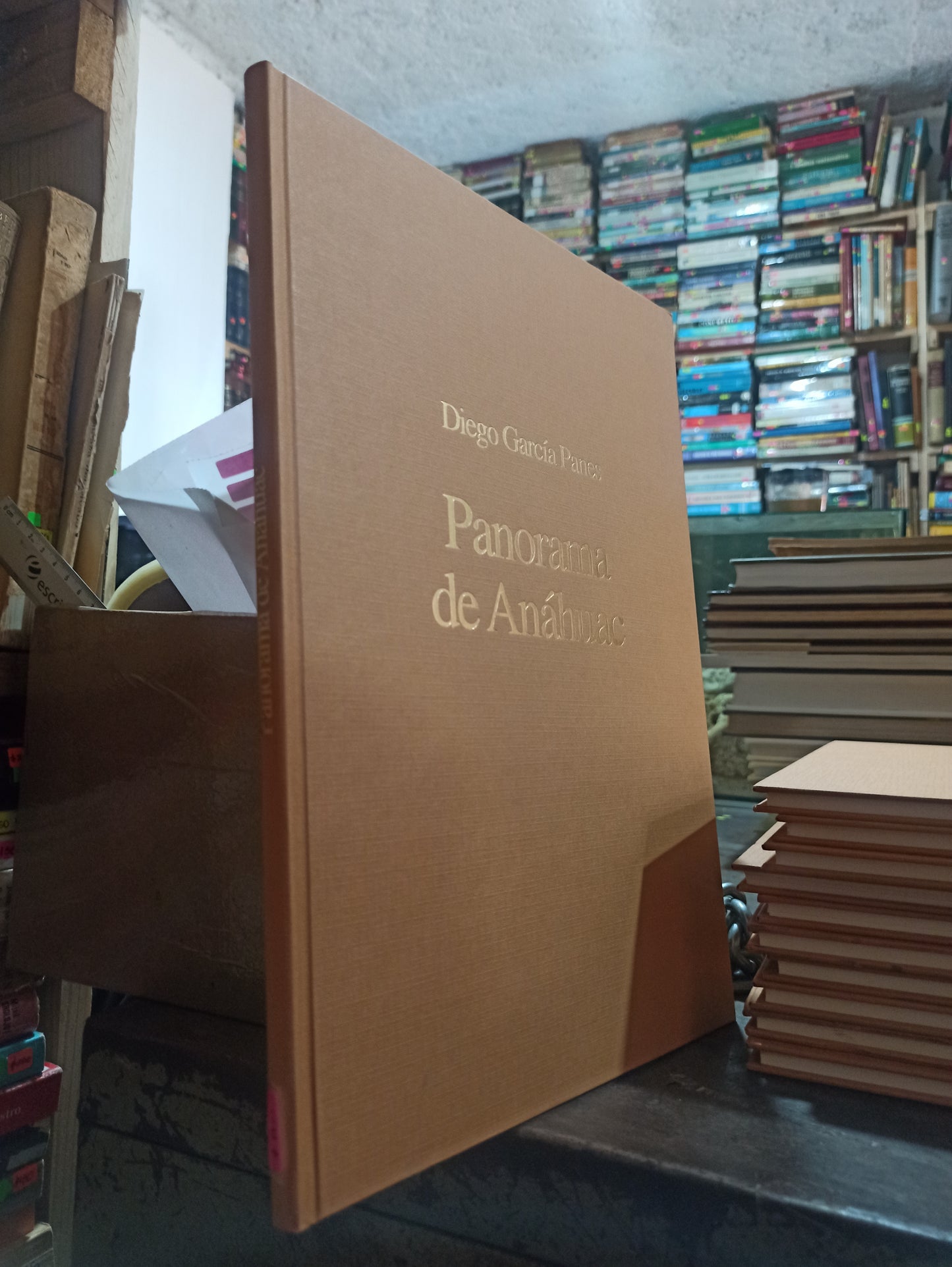 PANORAMA DE ANAHUAC POR DIEGO GARCIA PANES USADO HOSTORIA ALDAMA