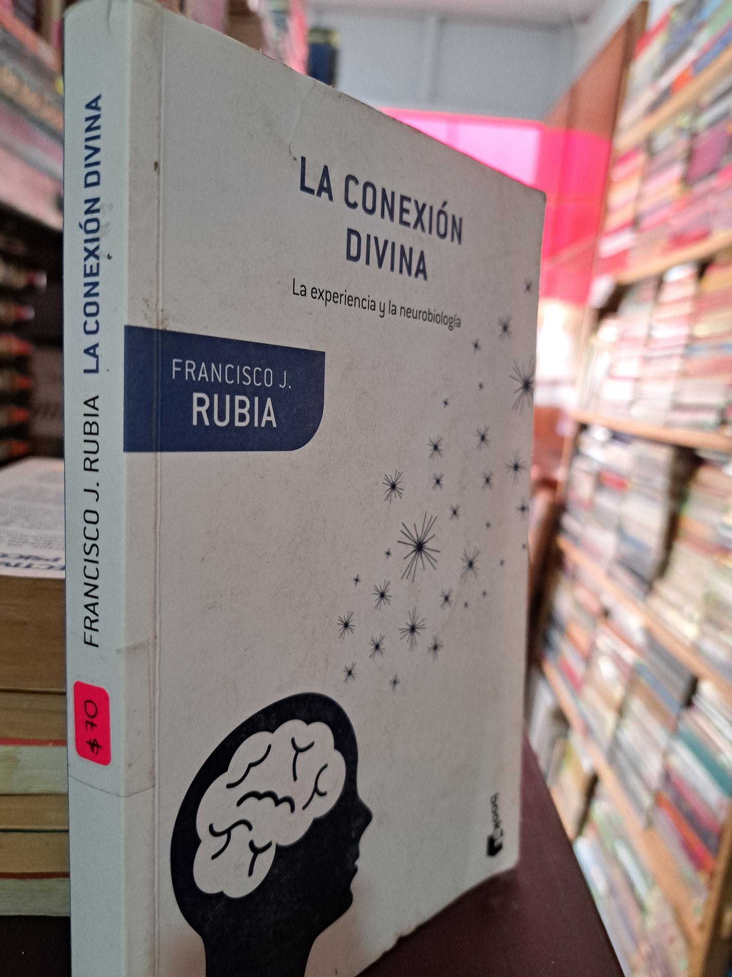 LA CONEXIÓN DIVINA FRANCISCO J. RUBIA USADO PSICOLOGÍA LITERARIO 305