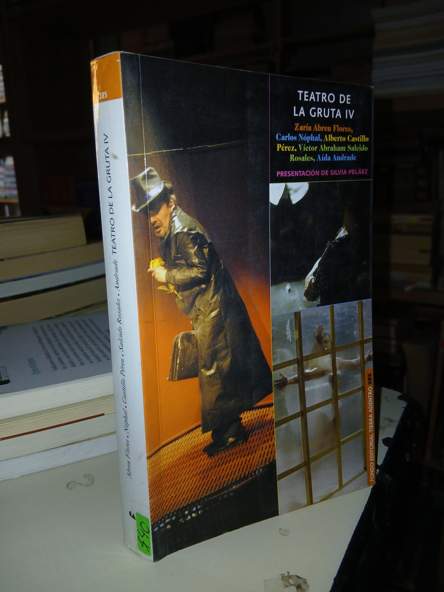 TEATRO DE LA GRUTA IV (VARIOS AUTORES) USADO TEATRO LITERARIO 207