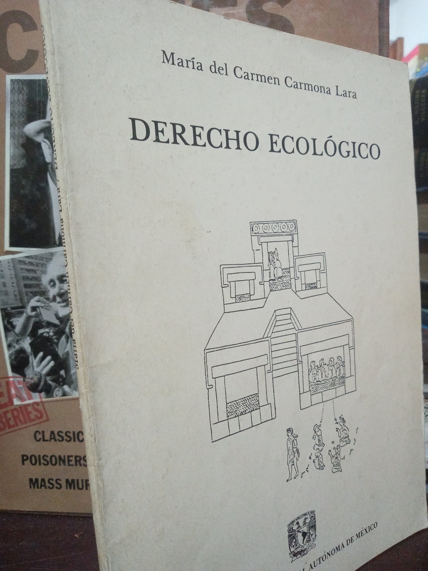DERECHO ECOLOGICO POR MARIA DEL CARMEN CARMONA LARA USADO DERECHO LITERARIO 305