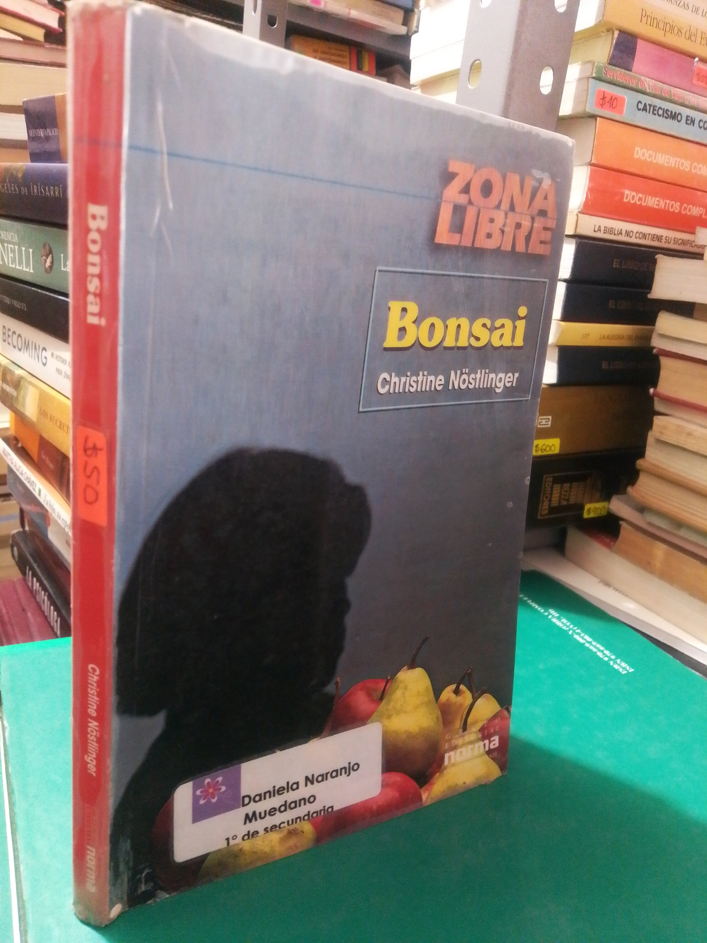 BONSAI POR CHRISTINE NOSTLINGER USADO NOVELA JUÁREZ