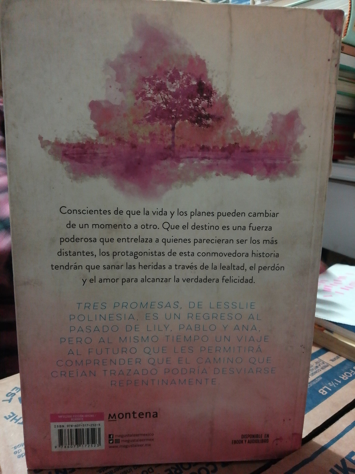 TRES PROMESAS POR LESSLIE POLINESIA USADO NOVELA JUAREZ