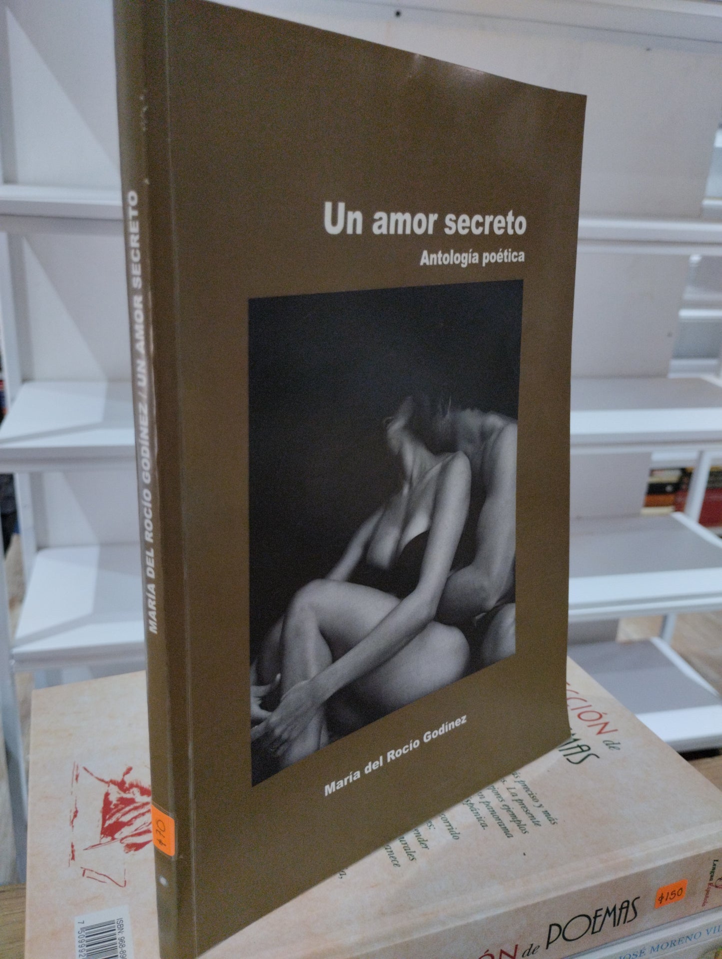 UN AMOR SECRETO POR MARIA DEL ROCIO GODINEZ USADO POESIA JUAREZ 515