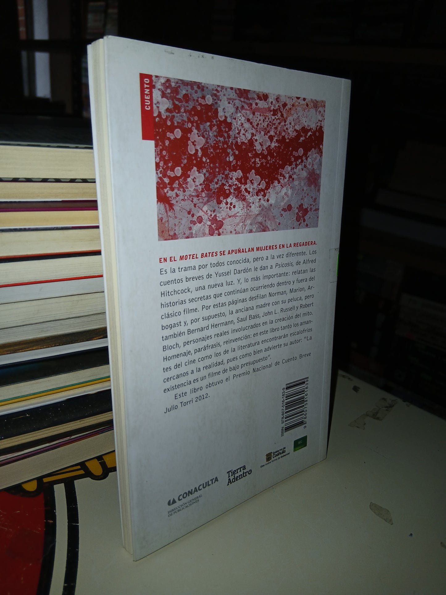 MOTEL BATES POR YUSSEL DARDÓN USADO NOVELA LITERARIO 207