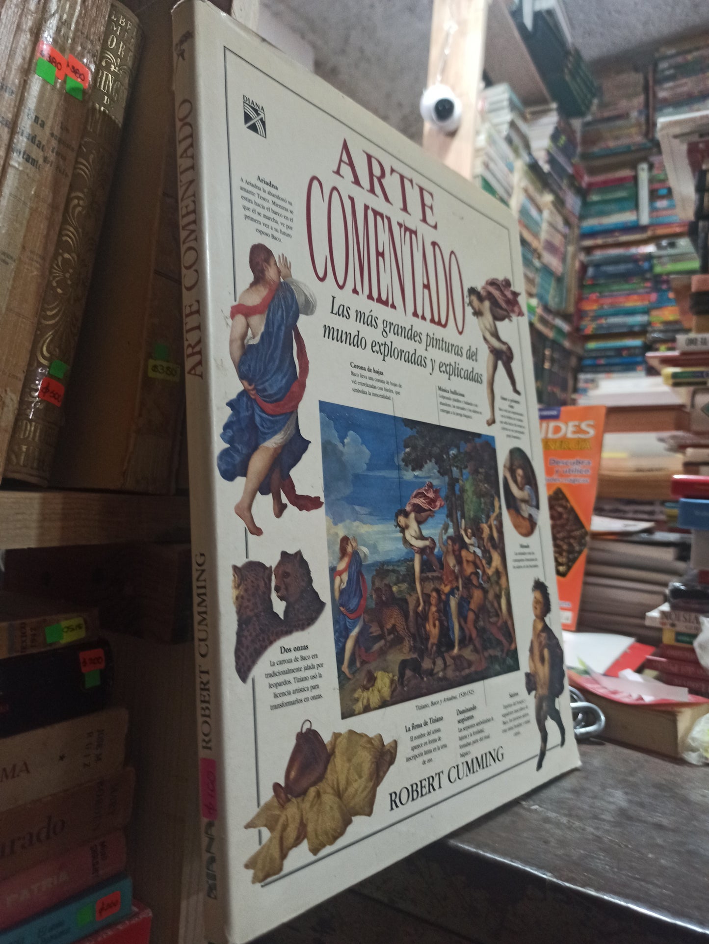ARTE COMENTADO POR ROBERT CUMMING USADO ARTES ALDAMA