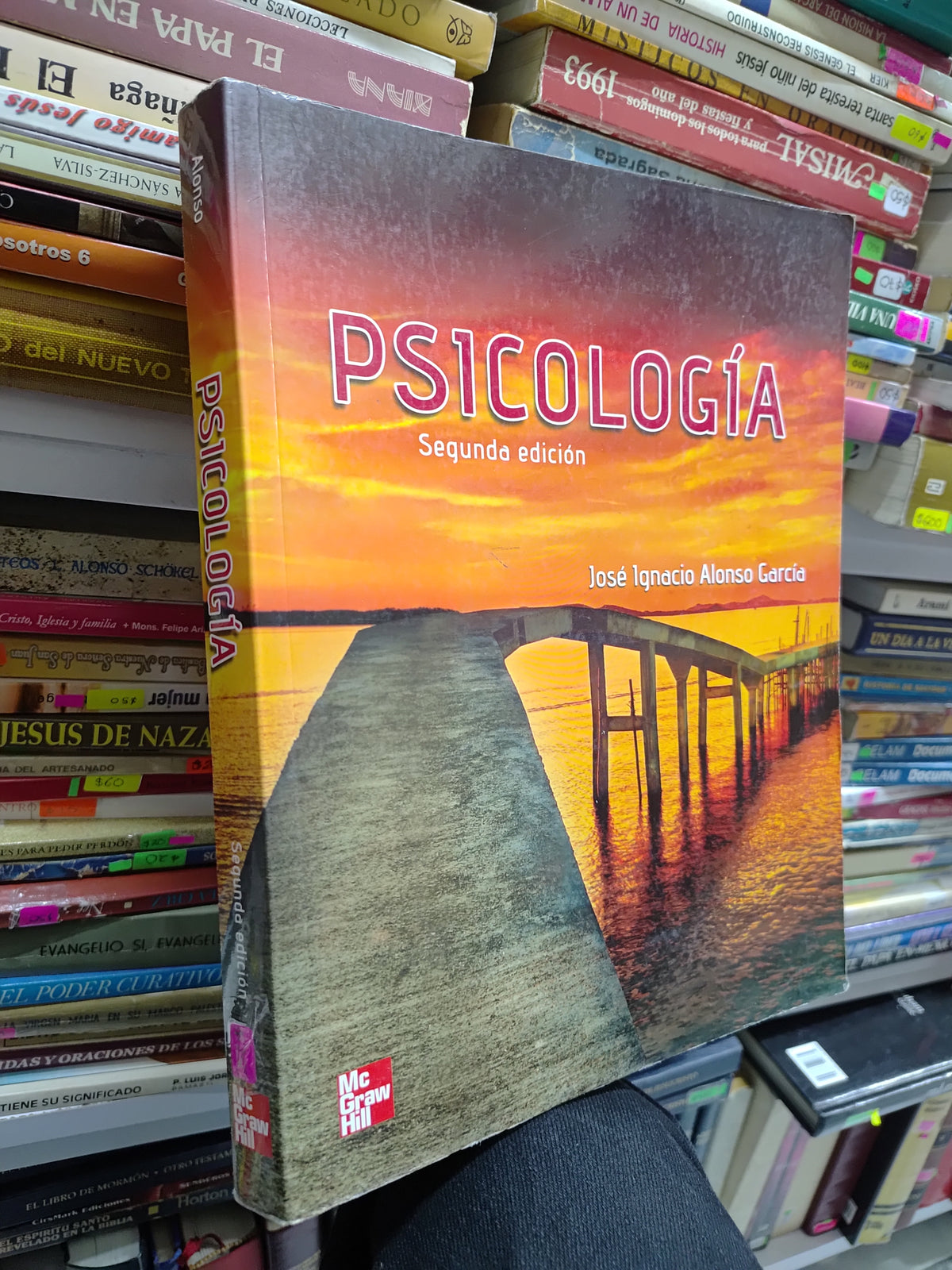 PSICOLOGIA SEGUNDA EDICION POR JOSE IGNACIO ALONSO GARCIA USADO PSICOLOGIA JUAREZ 507