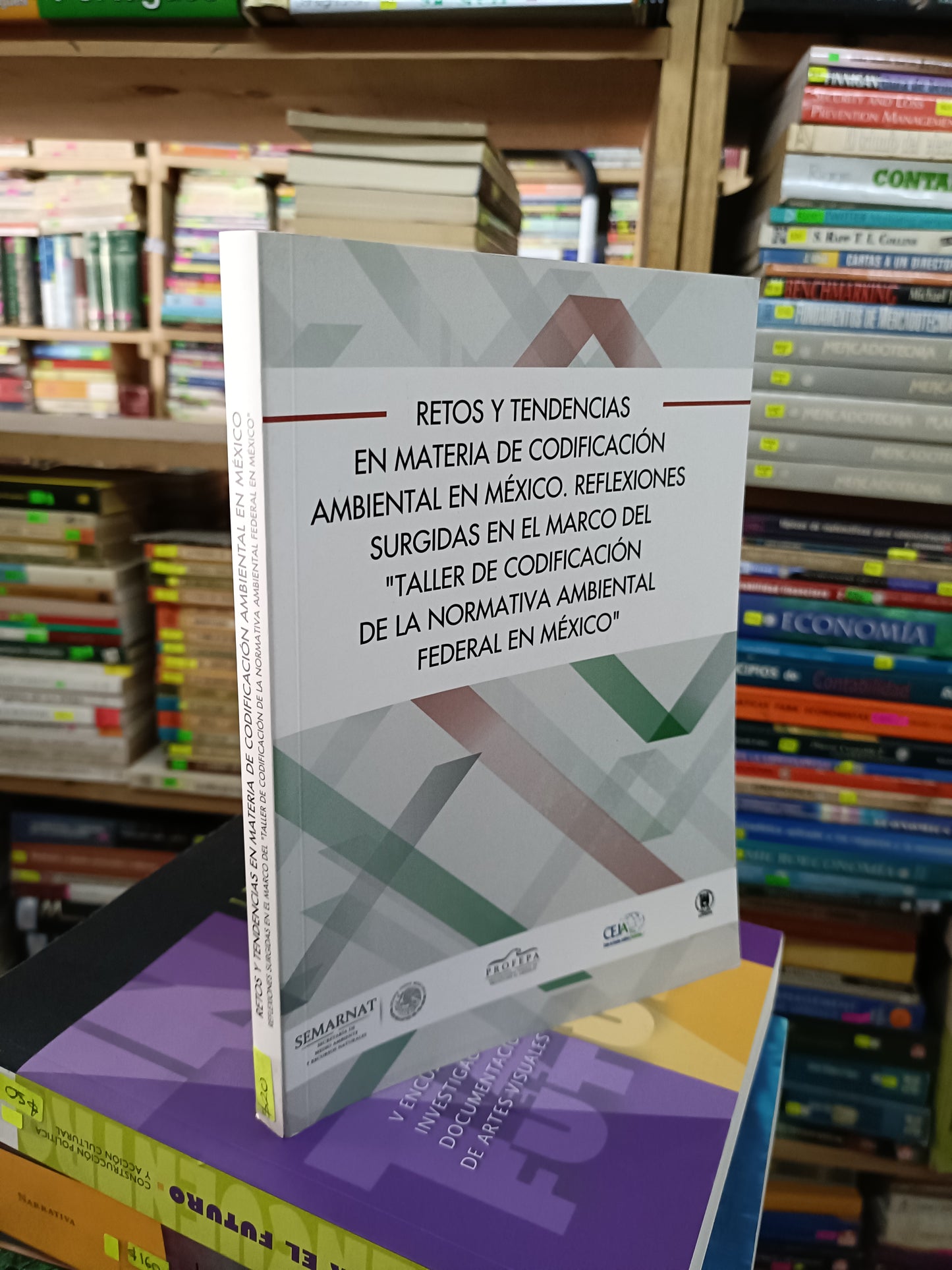 RETOS Y TENDENCIAS EN MATERIA DE CODIFICACIÓN AMBIENTAL EN MÉXICO REFLEXIONES SURGIDAS EN EL MARCO DEL TALLER DE CODIFICACIÓN DE LA NORMATIVA AMBIENTAL FEDERAL EN MÉXICO USADO DERECHO LITERARIO 207