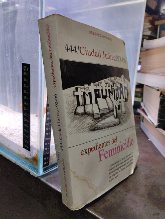 444 CIUDAD JUAREZ 93-06 EXPEDIENTES FEMINICIDIO USADO POLITICA ALDAMA