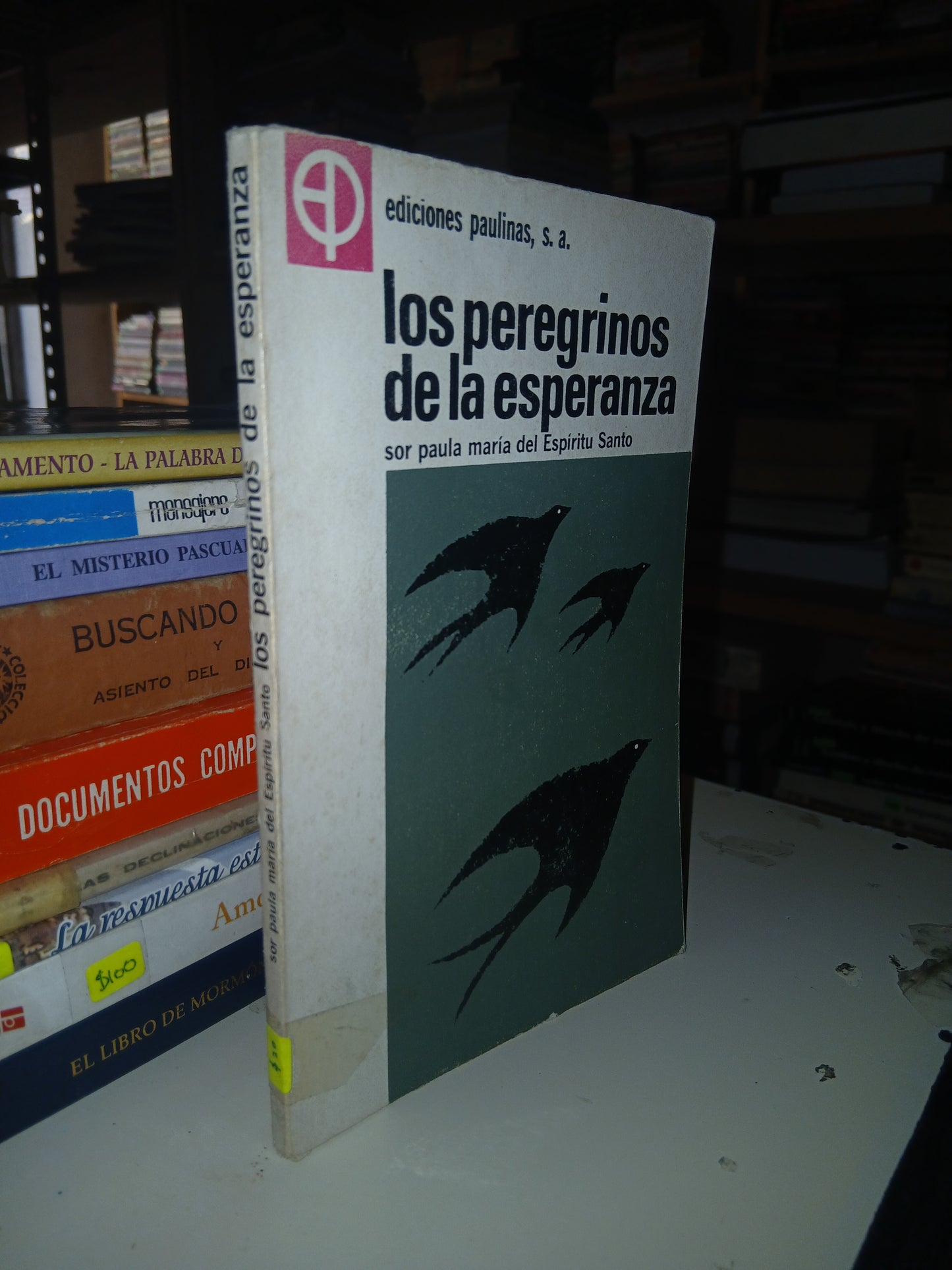 LOS PEREGRINOS DE LA ESPERANZA POR SOR PAULA MARÍA DEL ESPÍRITU SANTO USADO RELIGIÓN LITERARIO 207