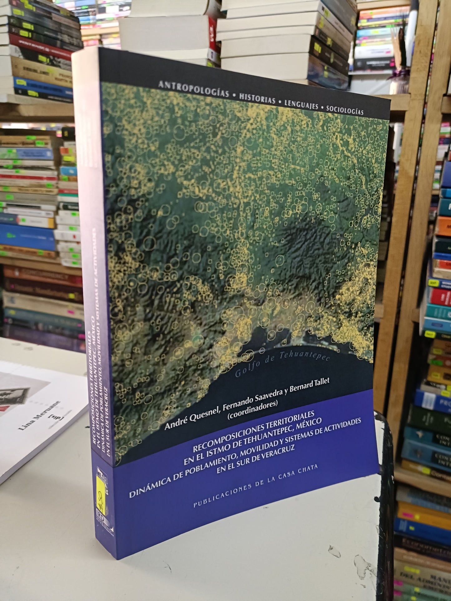 RECOMPOSICIONES TERRITORIALES EN EL ISTMO DE TEHUANTEPEC MÉXICO DINÁMICA DE POBLAMIENTO MOVILIDAD Y SISTEMAS DE ACTIVIDADES EN EL SUR DE VERACRUZ (VARIOS AUTORES) USADO HISTORIA LITERARIO 207