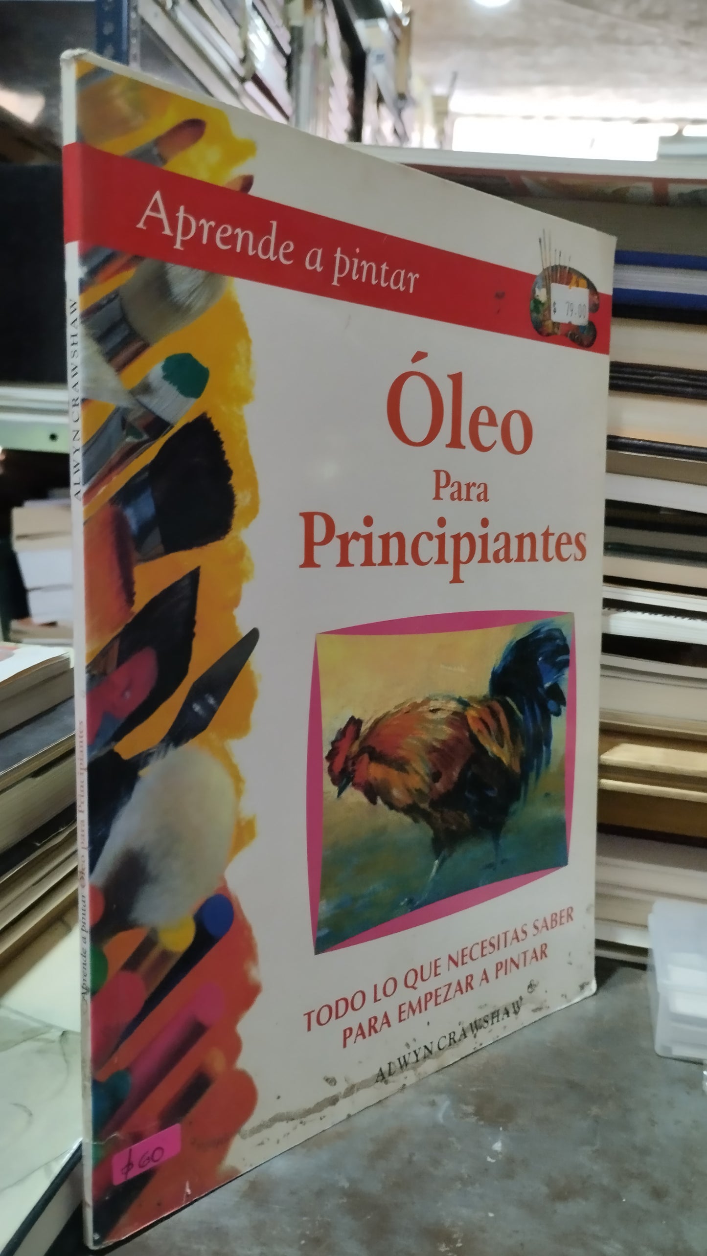 APRENDE A PINTAR OLEO PARA PRINCIPIANTES LIBRO USADO ARTE ALDAMA