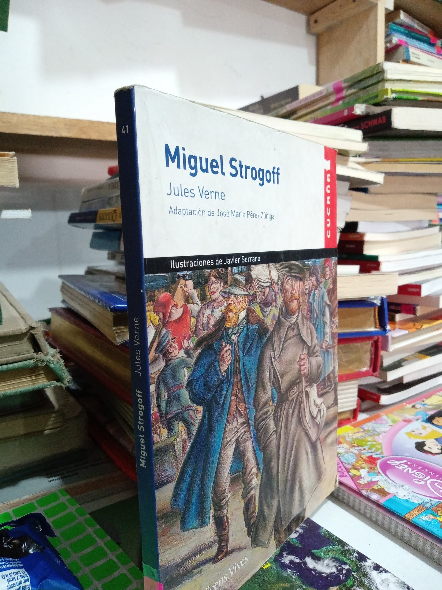 MIGUEL STROGOFF POR JULES VERNE USADO INFANTIL JUAREZ