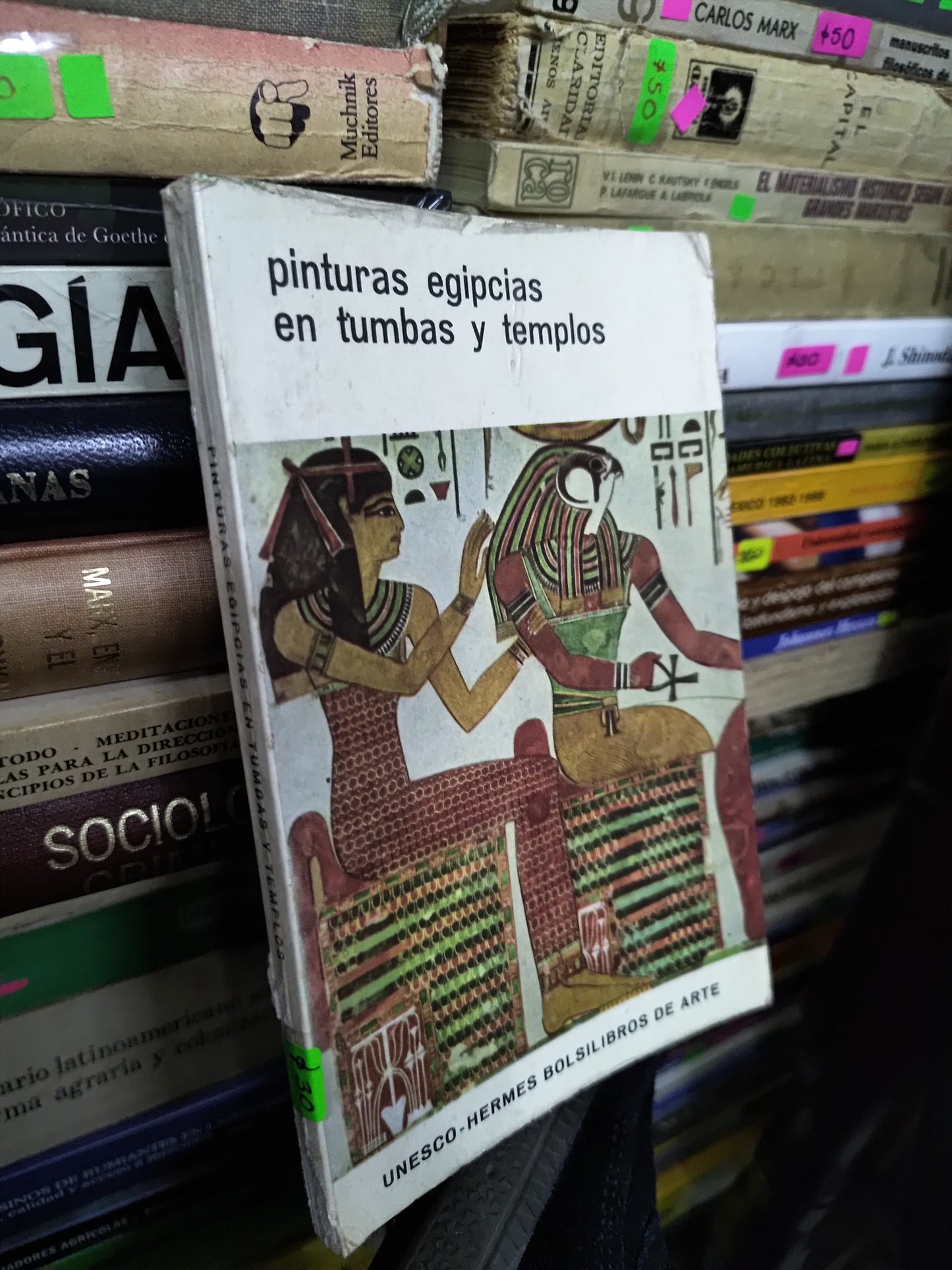PINTURAS EGIPCIAS EN TUMBAS Y TEMPLOS POR CHRISTIANE DESEOCHES USADO ARTES LITERARIO 207