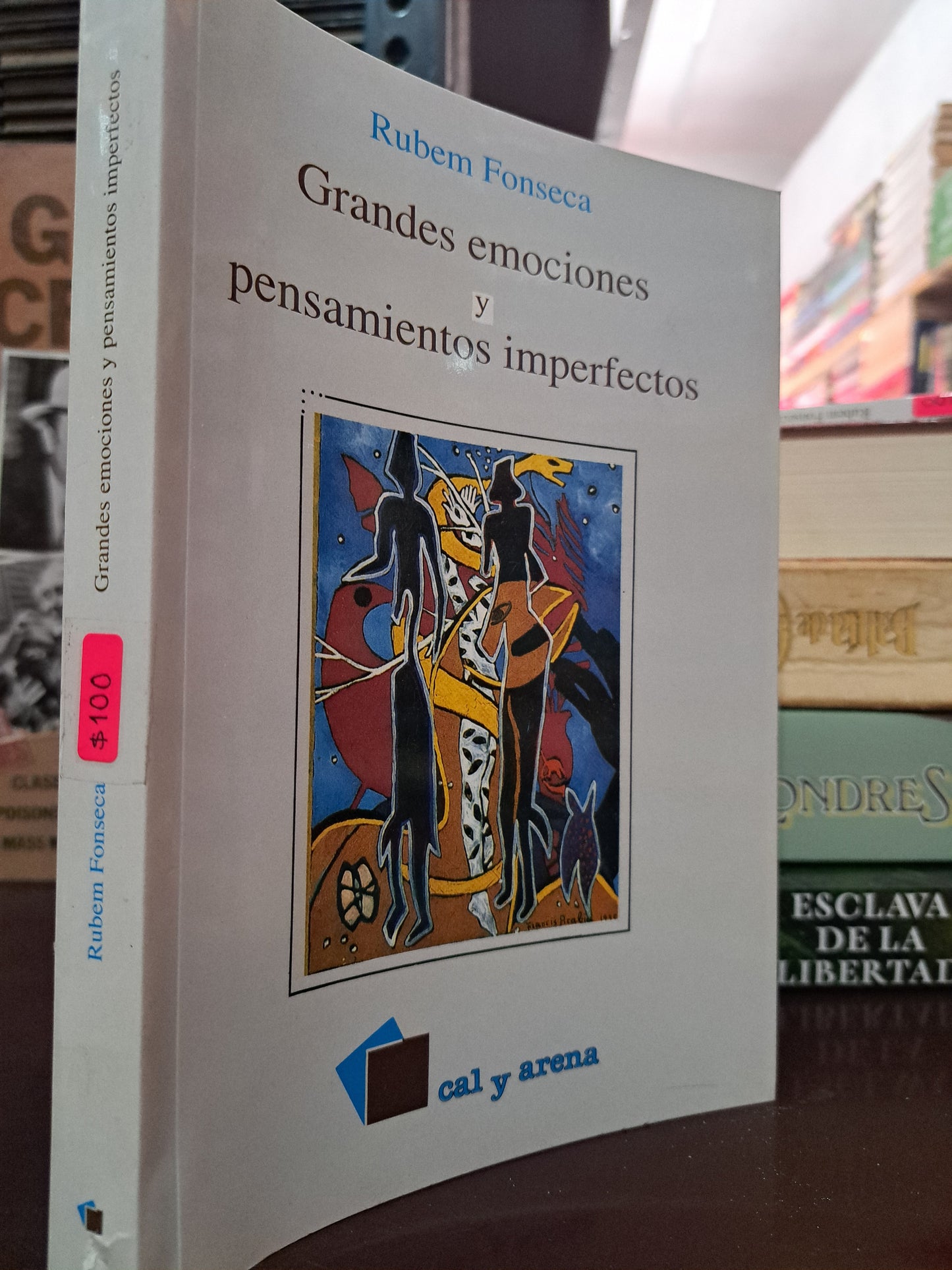 GRANDES EMOCIONES Y PENSAMIENTOS IMPERFECTOS RUBEM FONSECA USADO NOVELA LITERARIO 305
