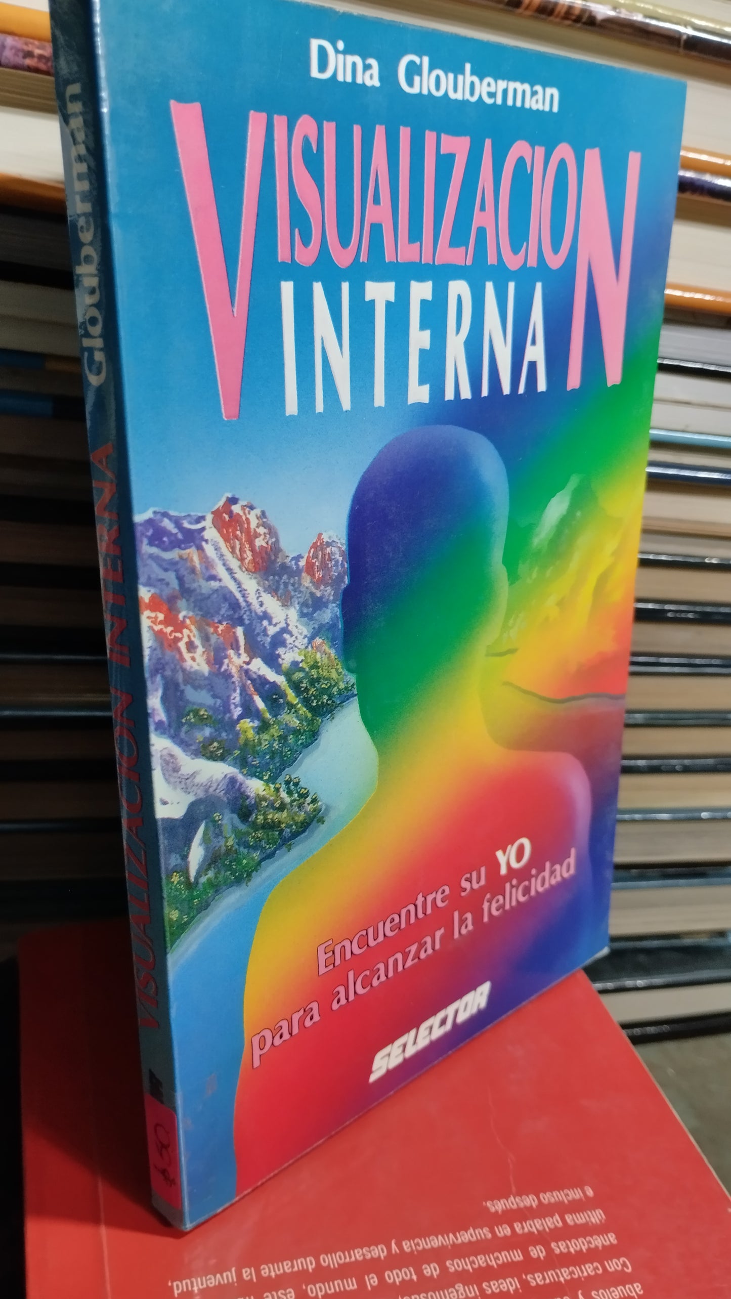VISUALIZACION INTERNA POR DINA GLOUBERMAN LIBRO USADO SUPERACION PERSONAL ALDAMA