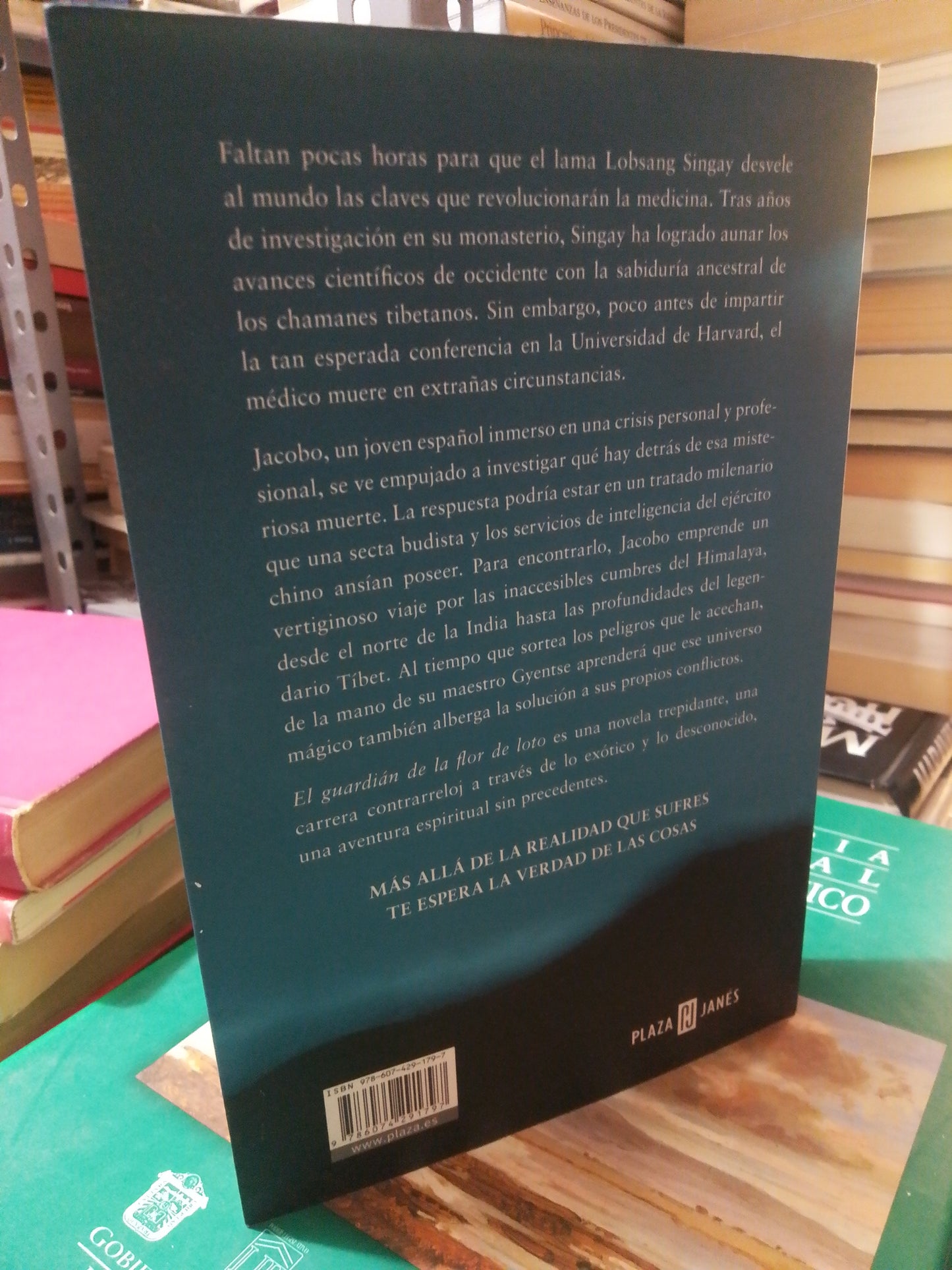 EL GUARDIÁN DE LA FLOR DE LOTO POR ANDRES PASCUAL USADO NOVELA JUÁREZ
