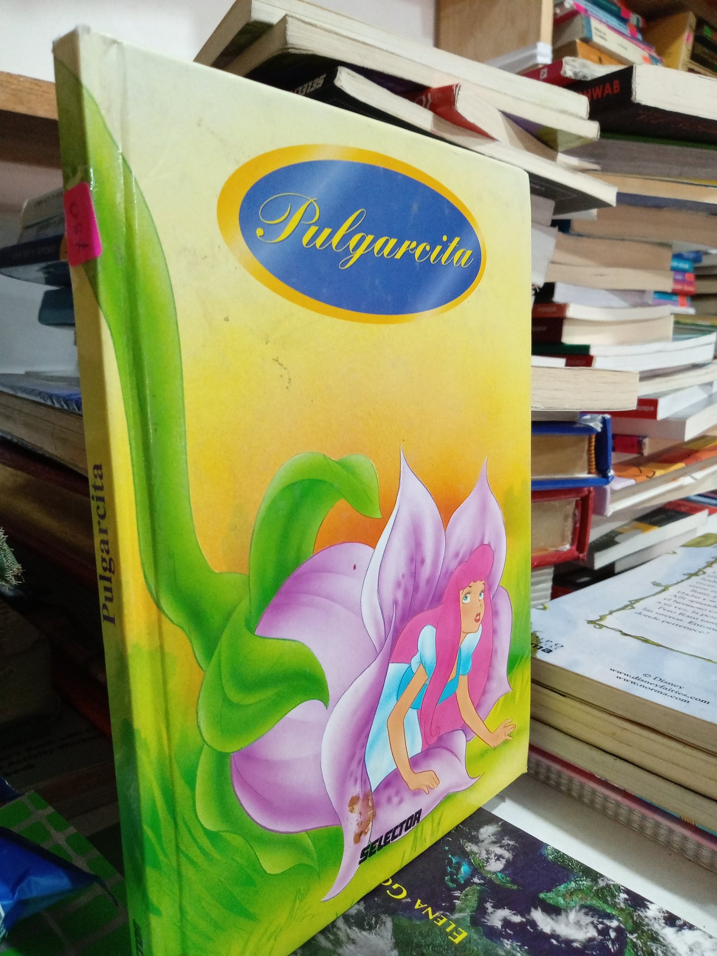 PULGARCITA USADO INFANTIL JUAREZ