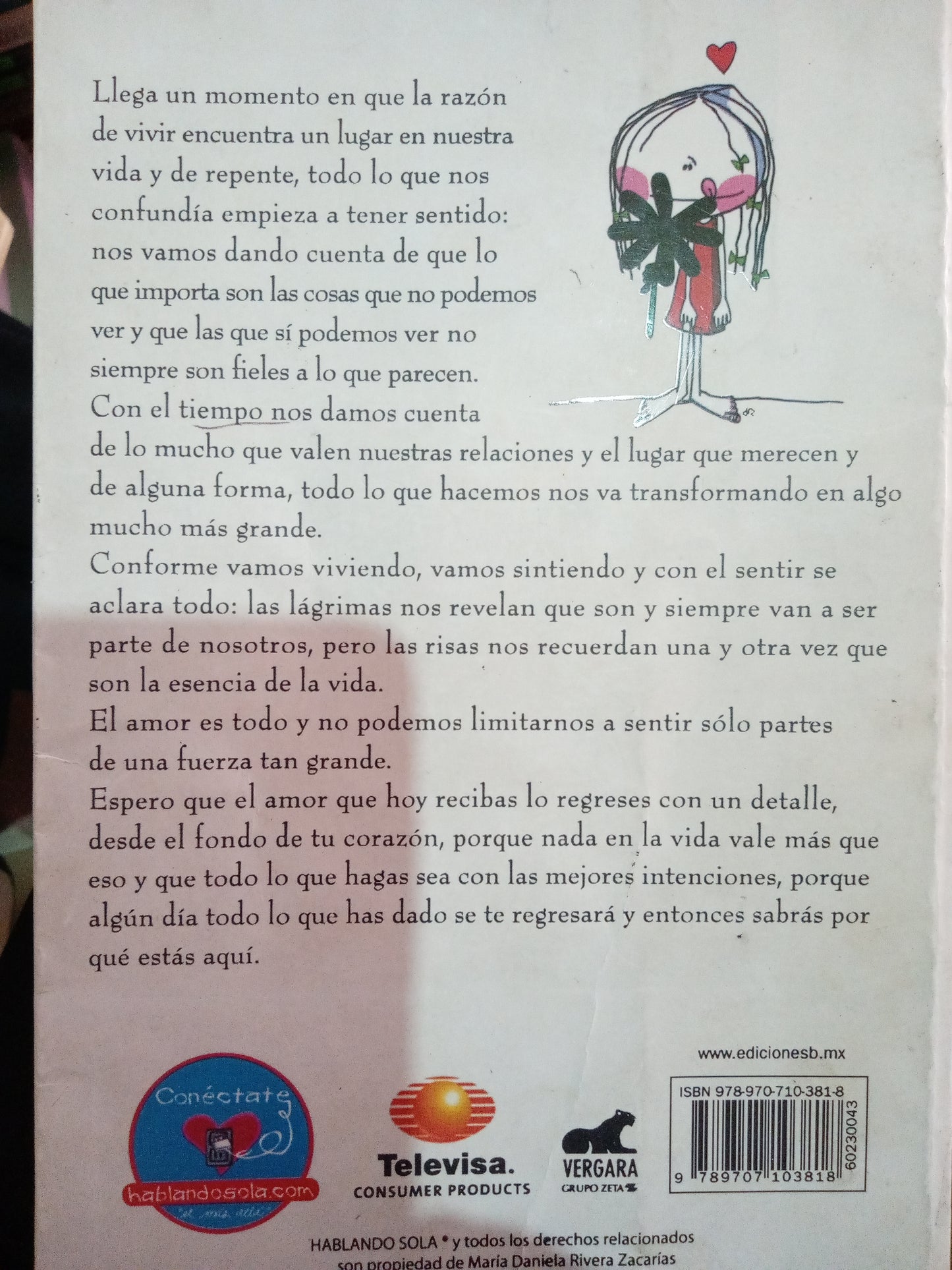 HABLANDO SOLA DANIELA RIVERA ZACARIAS USADO NOVELA LITERARIO #305