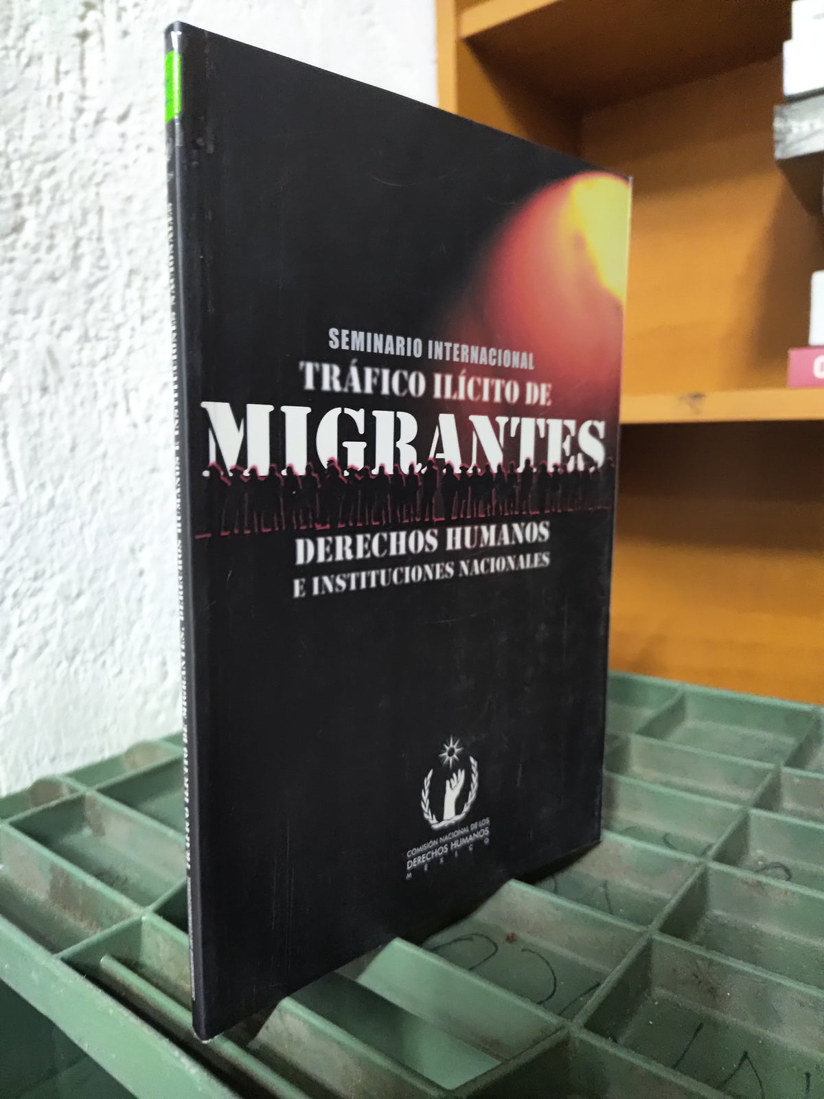 SEMINARIO INTERNACIONAL TRAFICO ILICITO DE MIGRANTES POR LA CDNH USADO DERECHO JUAREZ 515