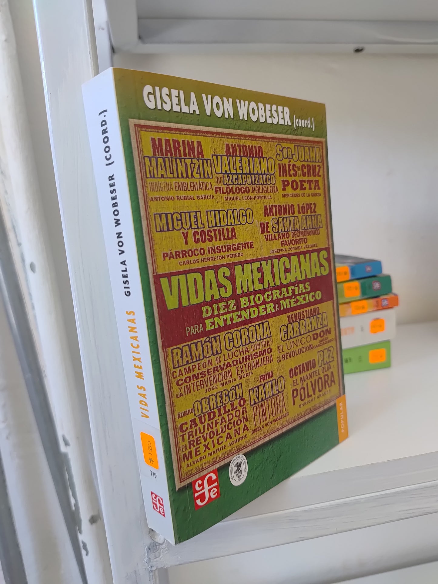 VIDAS MEXICANAS DIEZ BIOGRAFIAS PARA ENTENDER A MEXICO POR GISELA VON WOBESER USADO SOCIOLOGIA JUAREZ 515